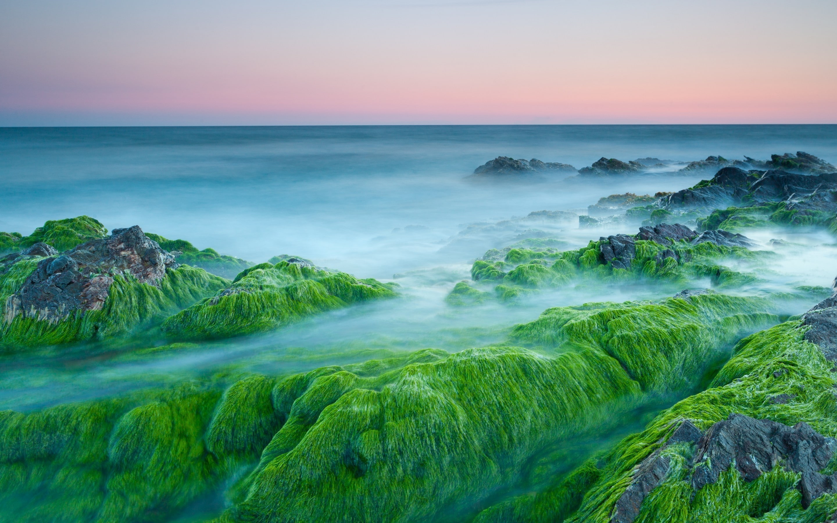 beside, body, mountains, rocky, 2K, algae, large, green, rocks, water, HD Wallpaper