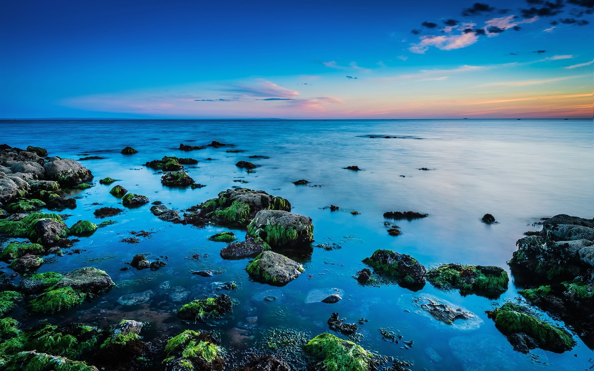 Sea, Sunrise, Beautiful, Skyline, Coast, Rocks, 1080P, Algae, HD Wallpaper