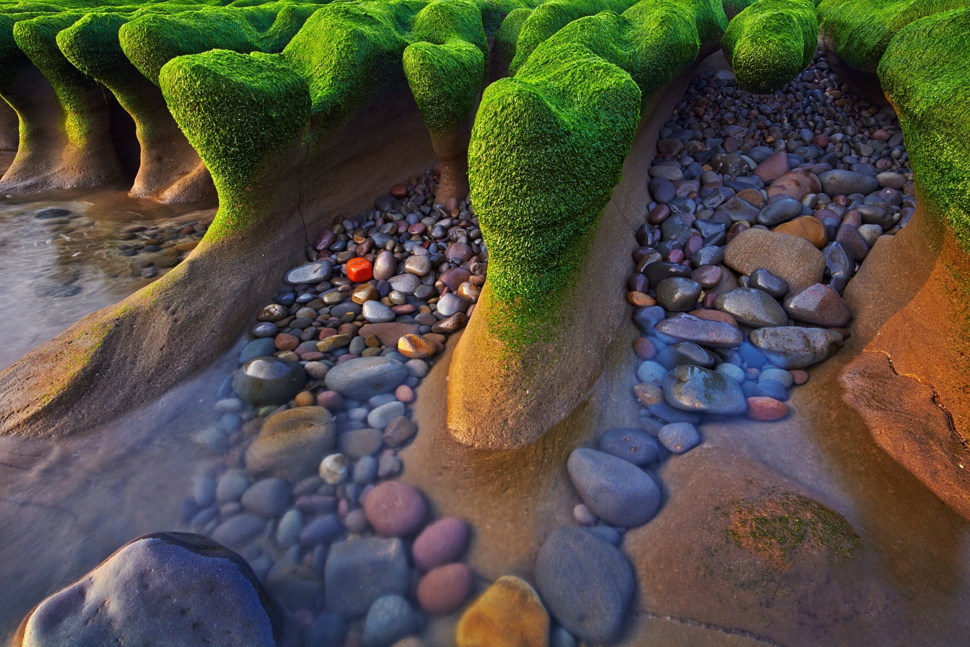 stones. algae, solid, healthy eating, freshness, stone - object, pebble, no people, green color, high angle view, food, 1080P, outdoors, rock, rock - object, HD Wallpaper