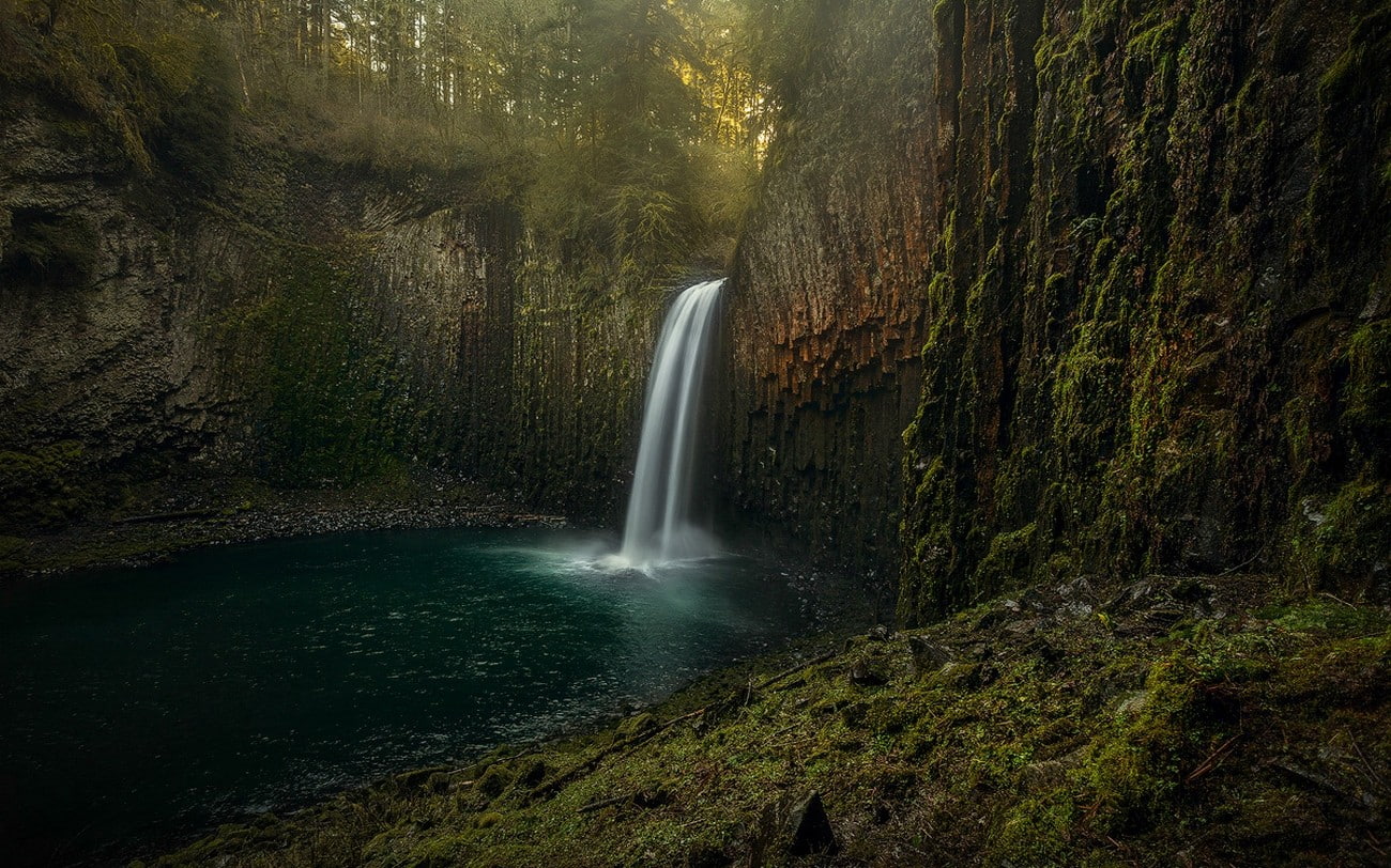 moss, nature, land, non-urban scene, beauty in nature, plant, erosion, outdoors, flowing water, forest, water, tree, motion, scenics - nature, rainforest, HD Wallpaper
