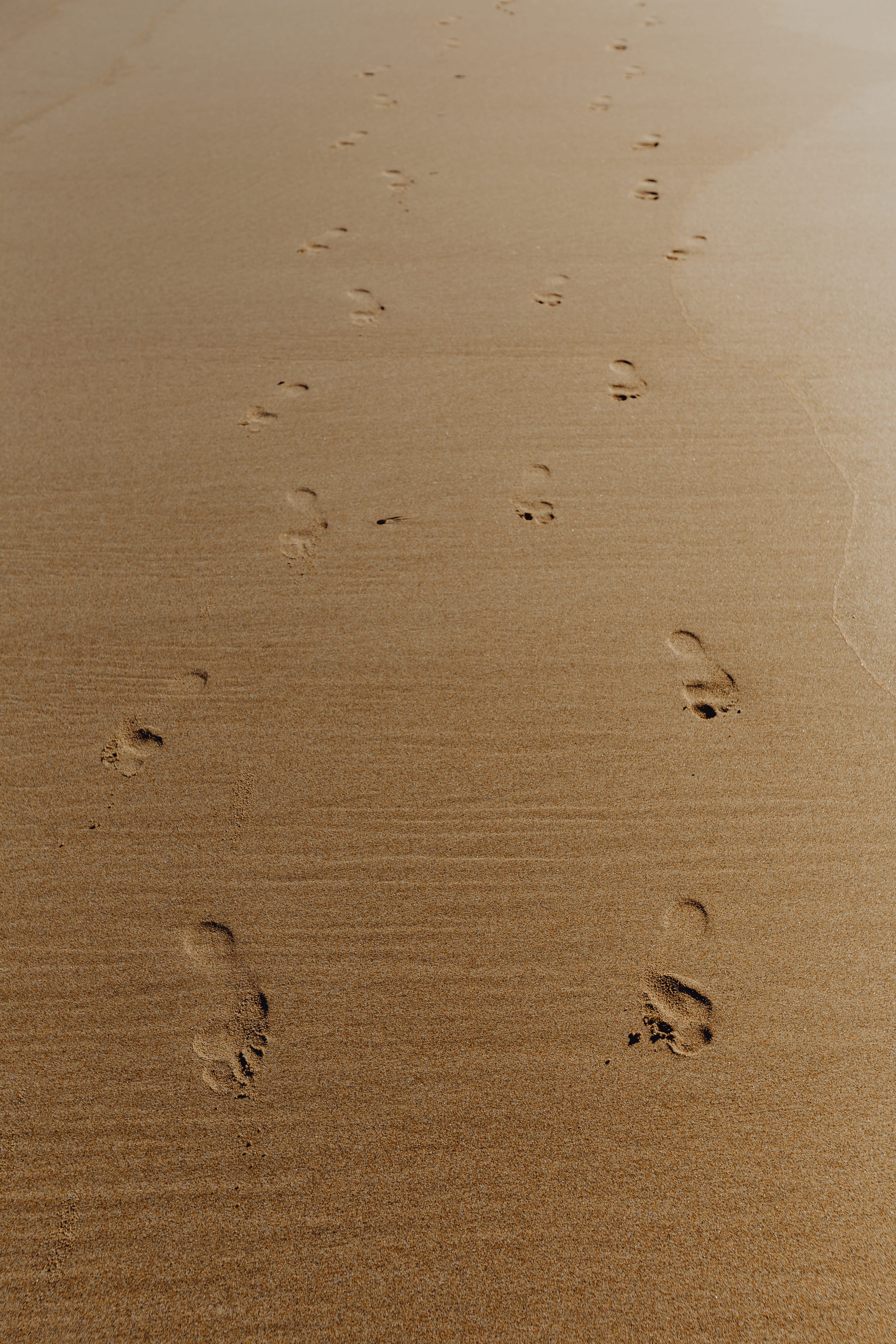 sand, ocean, 5K, desert, sea, track - imprint, land, no people, brown, print, footprint, portugal, sandy, algarve, pattern, day, shore, full frame, outdoors, Phone HD Wallpaper