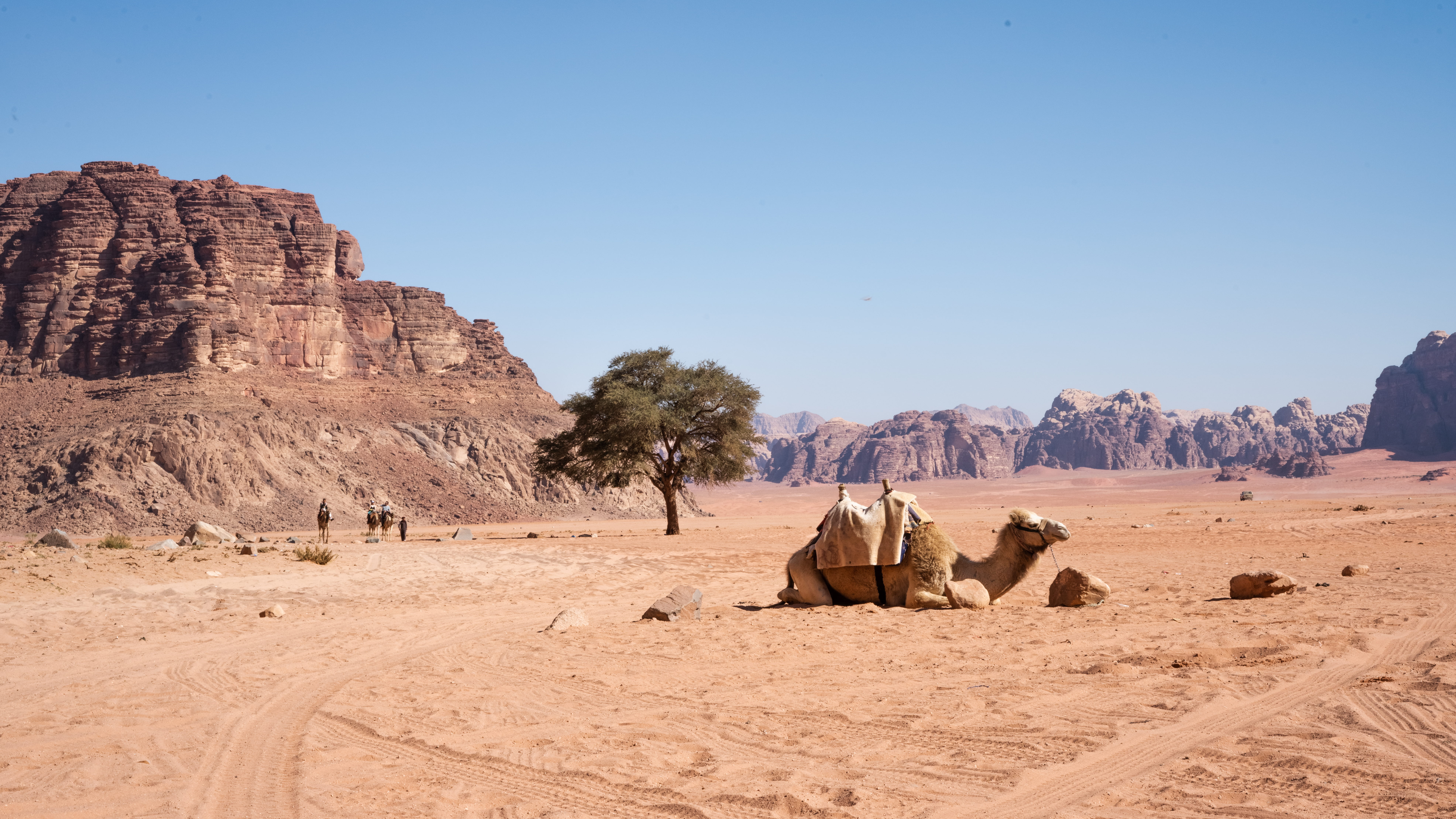 sky, cow, mammal, scenics - nature, human, camel, ground, physical geography, travel, near, sandstone, desert, rocks, the martian, person, rock, landscape, HD Wallpaper