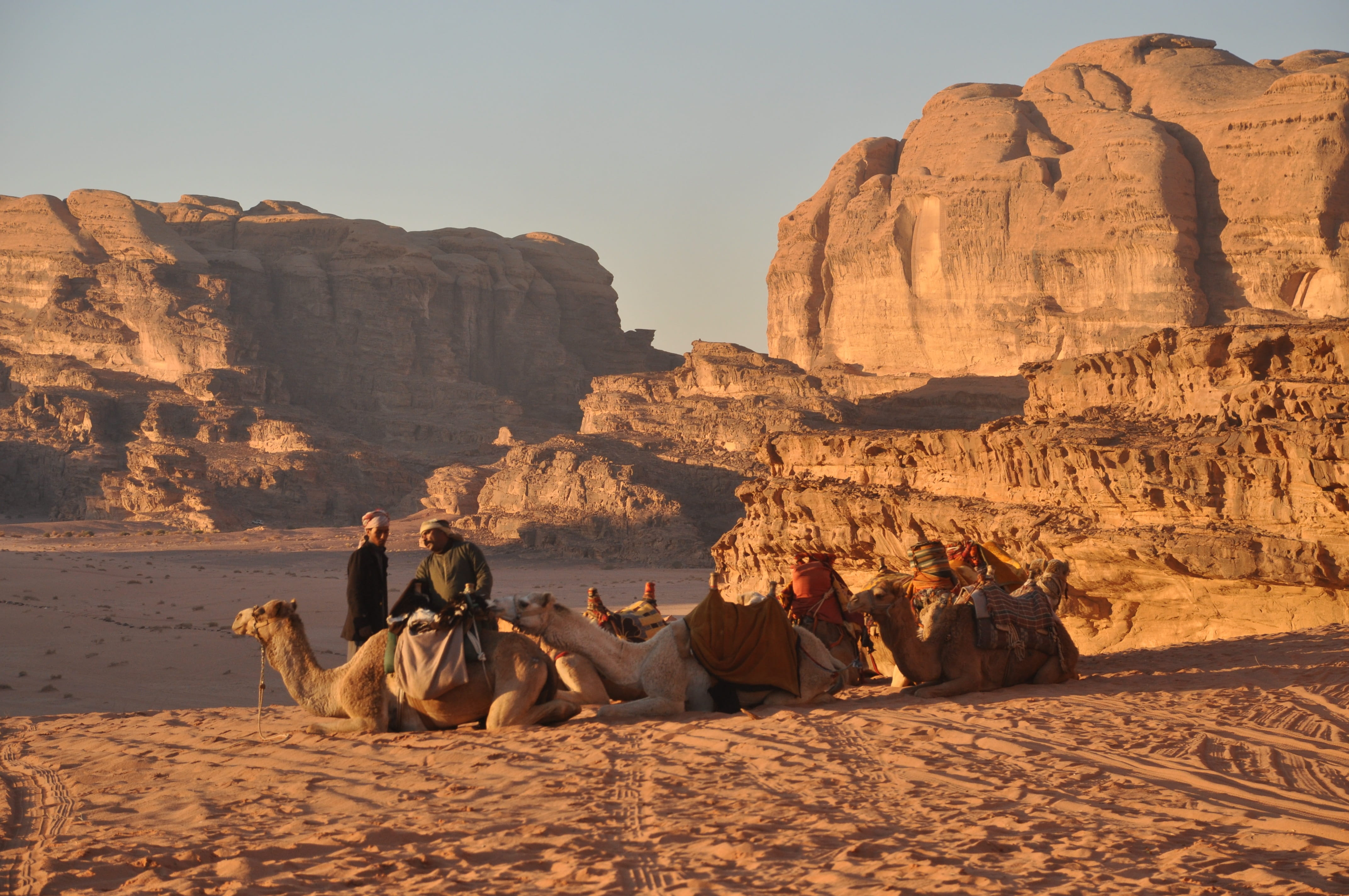 sunlight, real people, three, men, solid, rock - object, sitting, animal themes, arid climate, people, mammal, travel, Wadi Rum, desert, inline, adult, HD Wallpaper