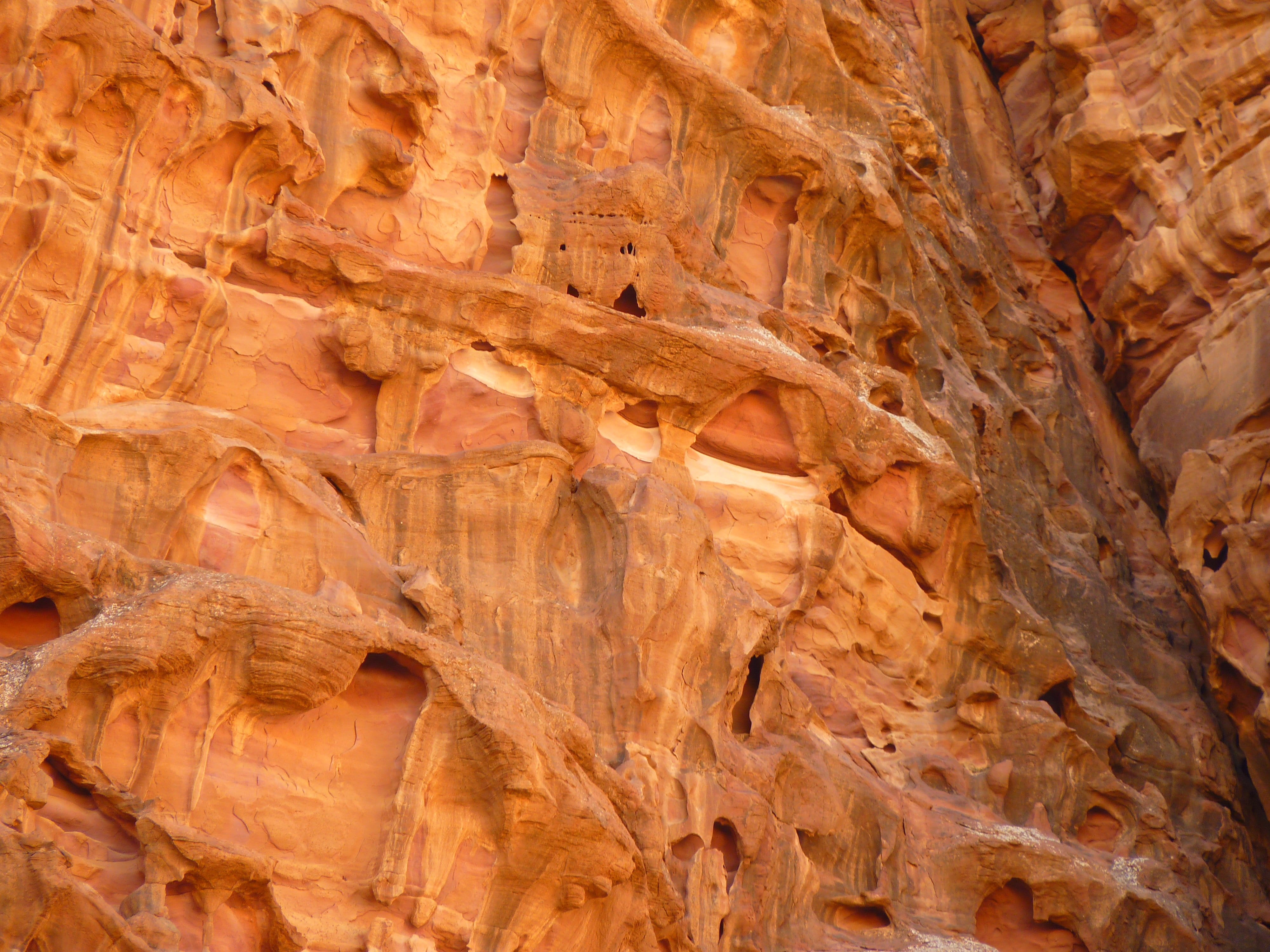 petra, eroded, rock - object, desert, no people, negev, physical geography, ceiling, nature, sand stone, beauty in nature, rock, outdoors, Jordan, geology, HD Wallpaper