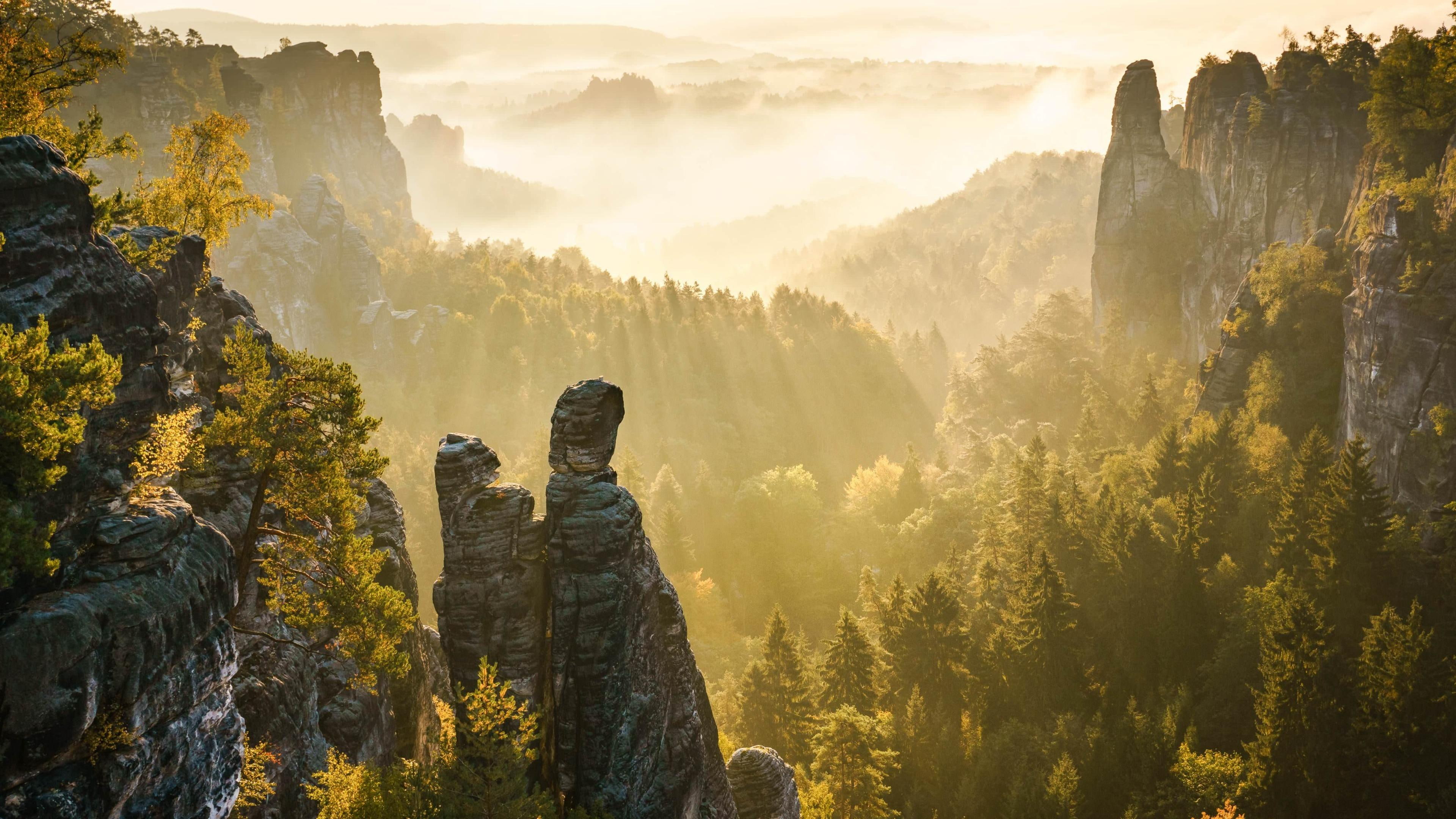 saxon, escarpment, sunlight, tree, rays, europe, saxon switzerland national park, terrain, light ray, wilderness, sky, sunbeam, sun ray, morning, germany, HD Wallpaper