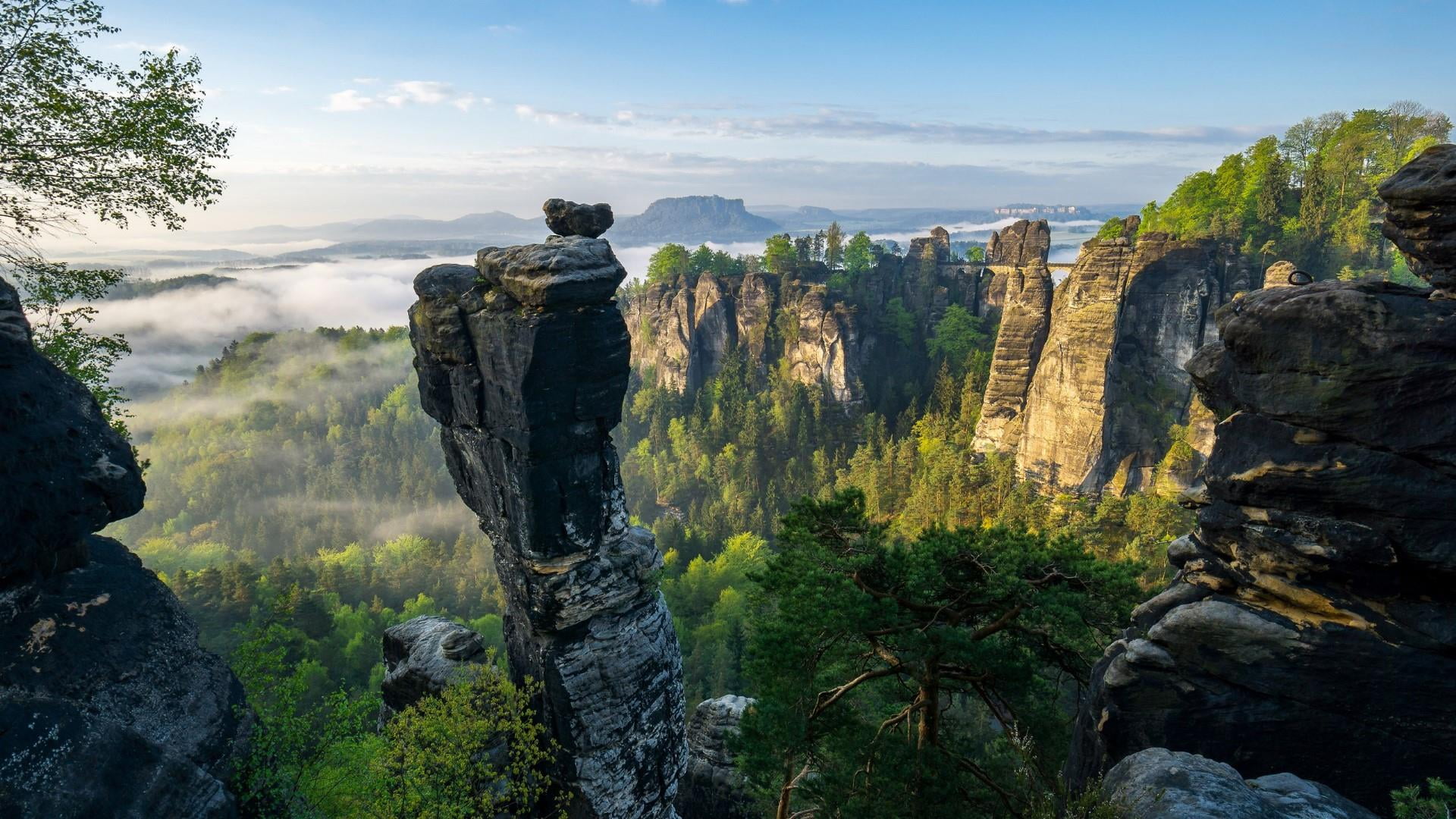 rock - object, bastei bridge, mount scenery, germany, terrain, outdoors, eu, saxon switzerland national park, tree, rock, national park, idyllic, escarpment, HD Wallpaper