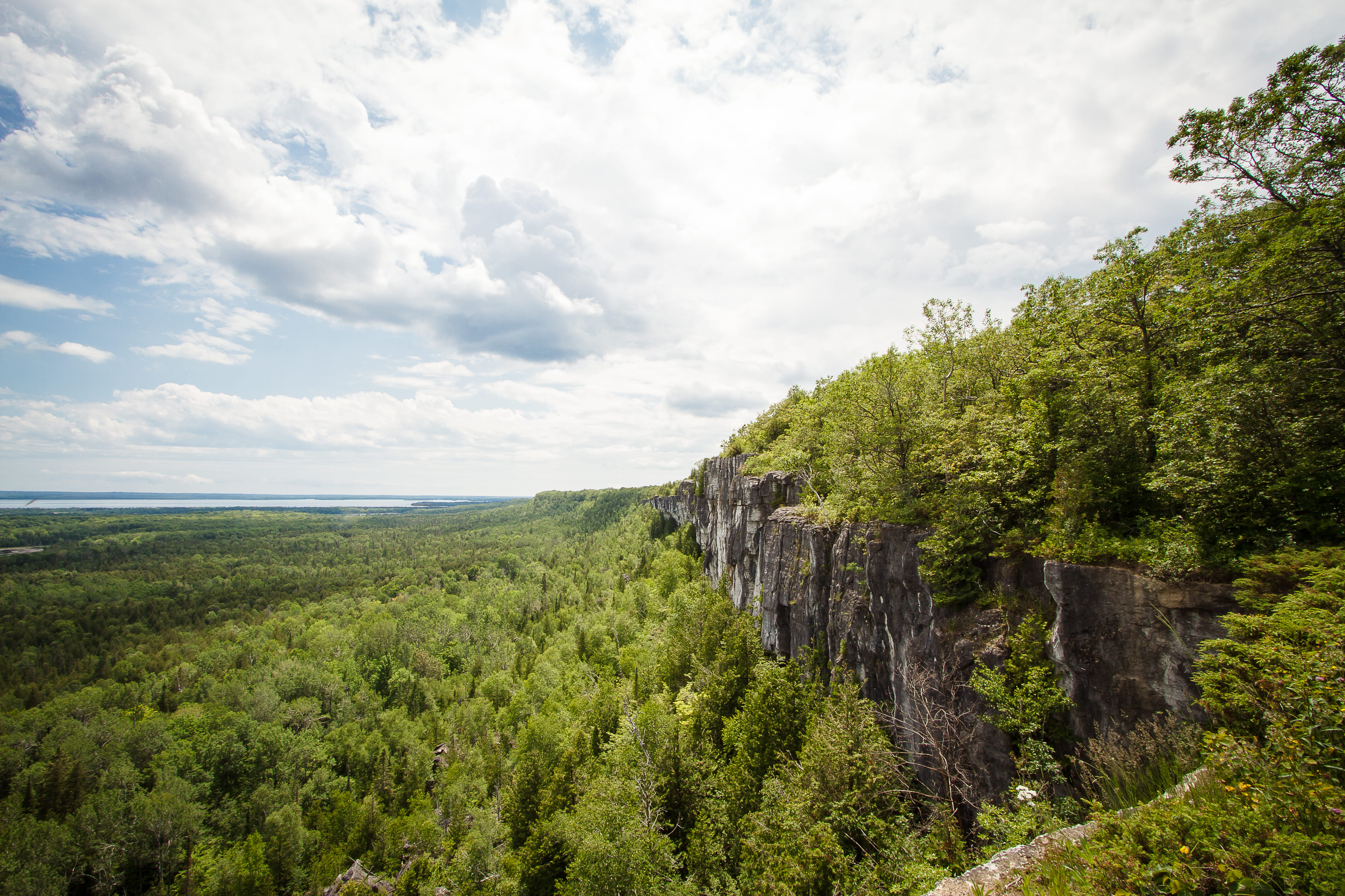 outdoors, plant, sky, landscape, land, cup and saucer, trees, non-urban scene, nature, tree, idyllic, niagara escarpment, beauty in nature, growth, tranquility, HD Wallpaper