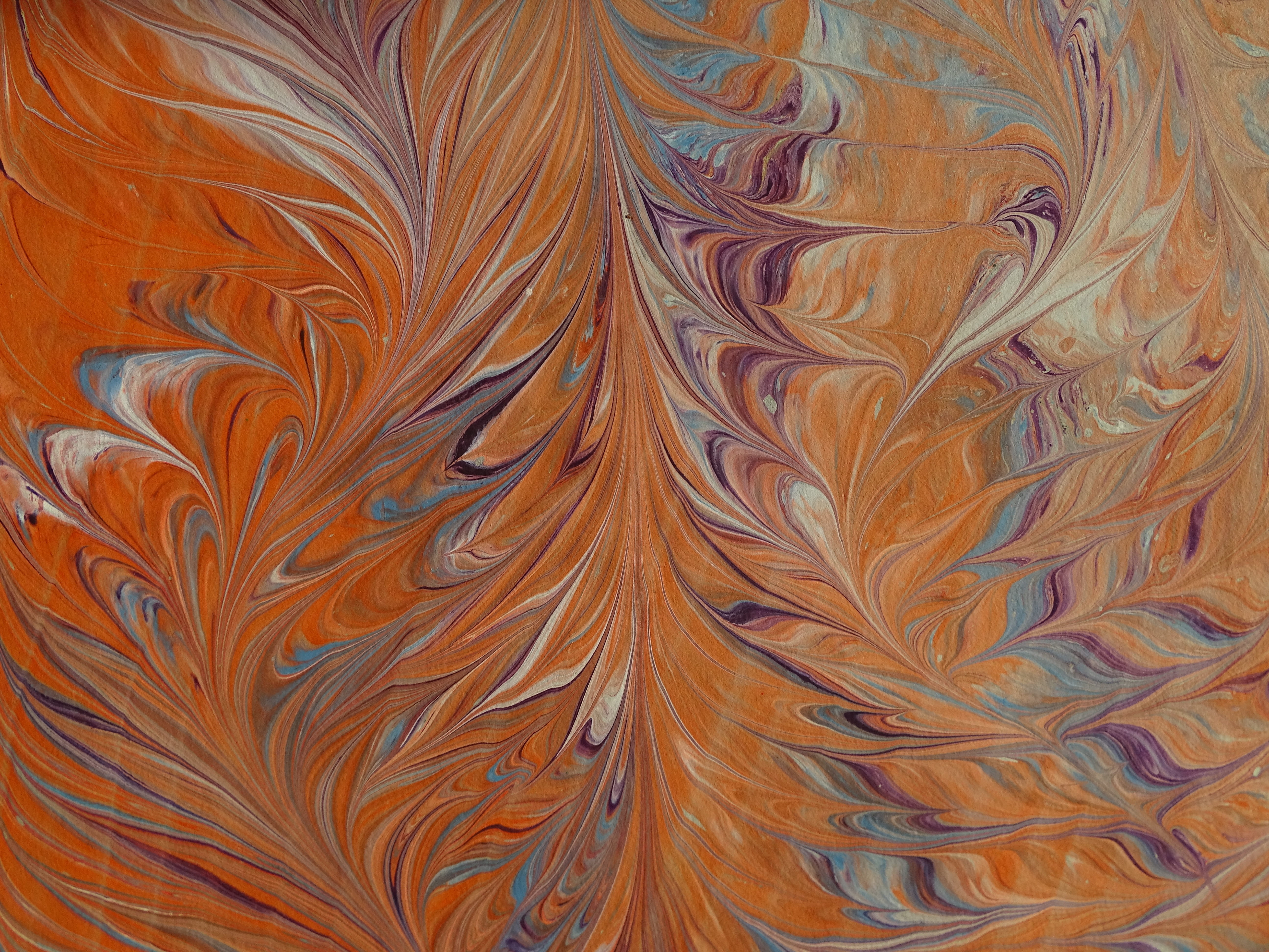 mottle, textile, natural pattern, 5K, bird, abstract, marbled paper, multi colored, textured, feather, creativity, orange color, movement, flames, full frame, HD Wallpaper