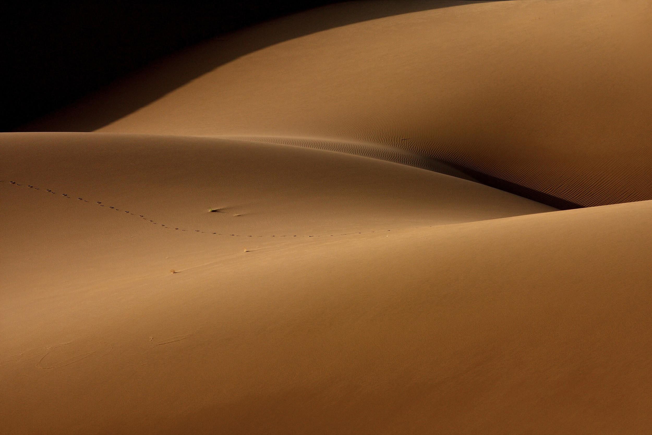dune, 1080P, suggestive, sand, nature, landscape, desert, HD Wallpaper