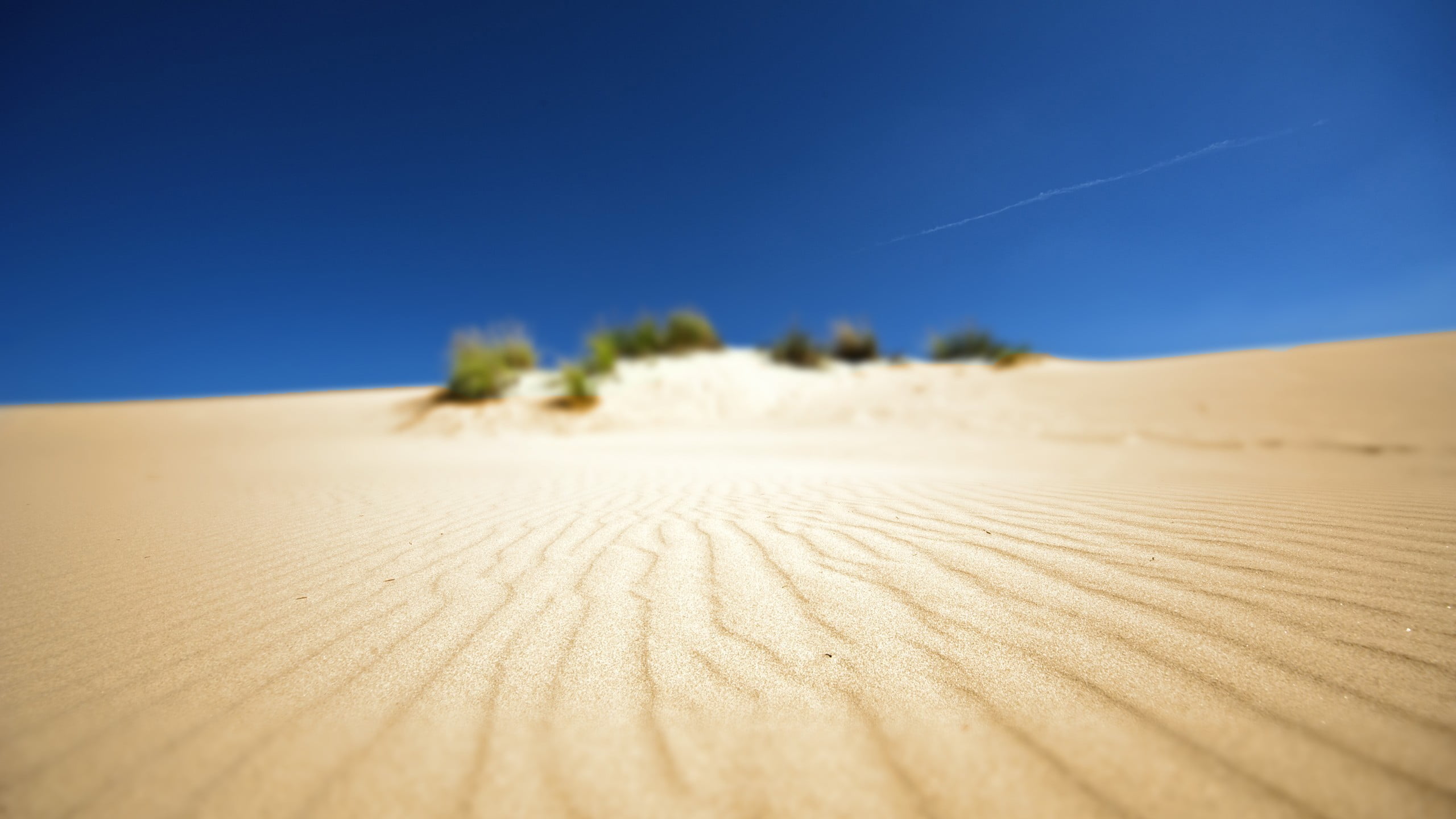 beach, travel Locations, landscape, wind, desert, scenics, depth of field, footprint, extreme Terrain, summer, vacations, beauty In Nature, tourism, dry, HD Wallpaper