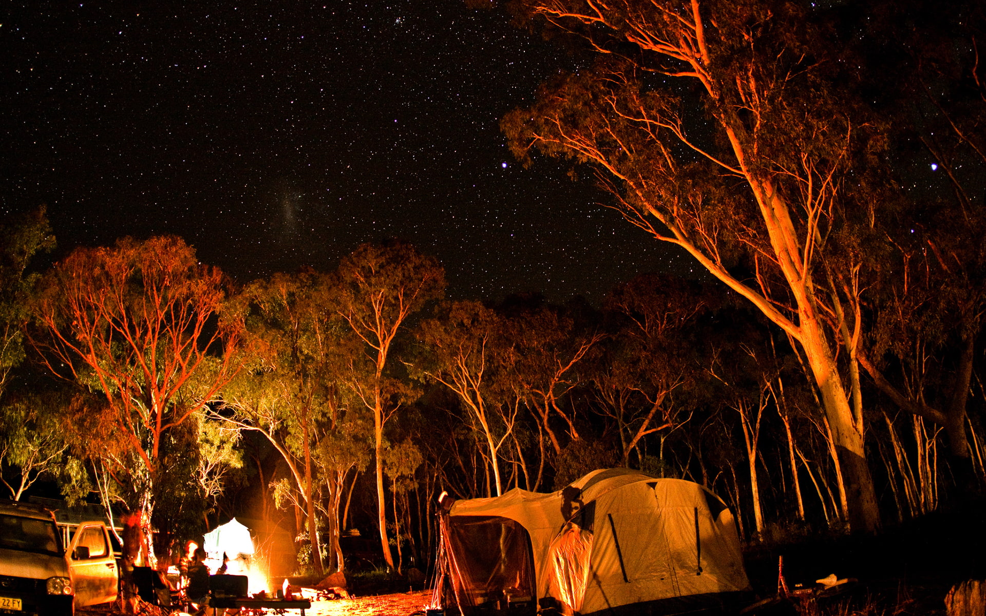 1080P, camping, fire, nature, camp, hd, night, stars, trees, HD Wallpaper