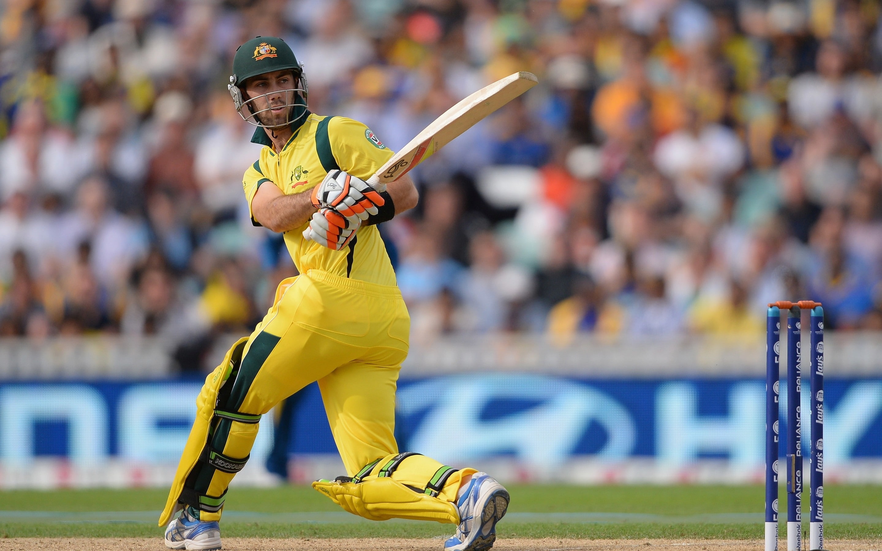 2K, cricket, maxwell, glenn, bastman, australia, HD Wallpaper