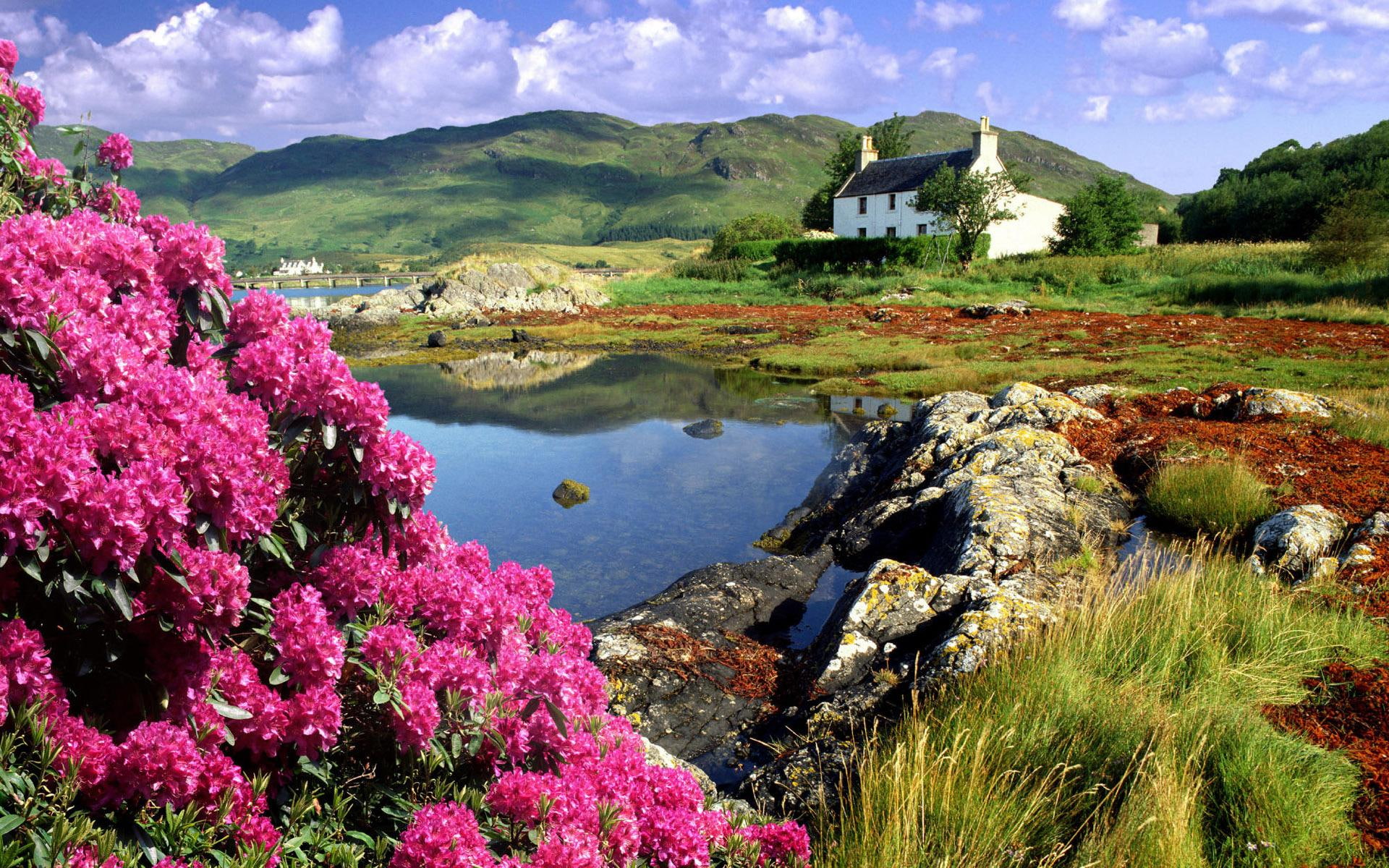 3d and abstract, lake, ireland, mountain, flowers, house, 1080P, irel, HD Wallpaper