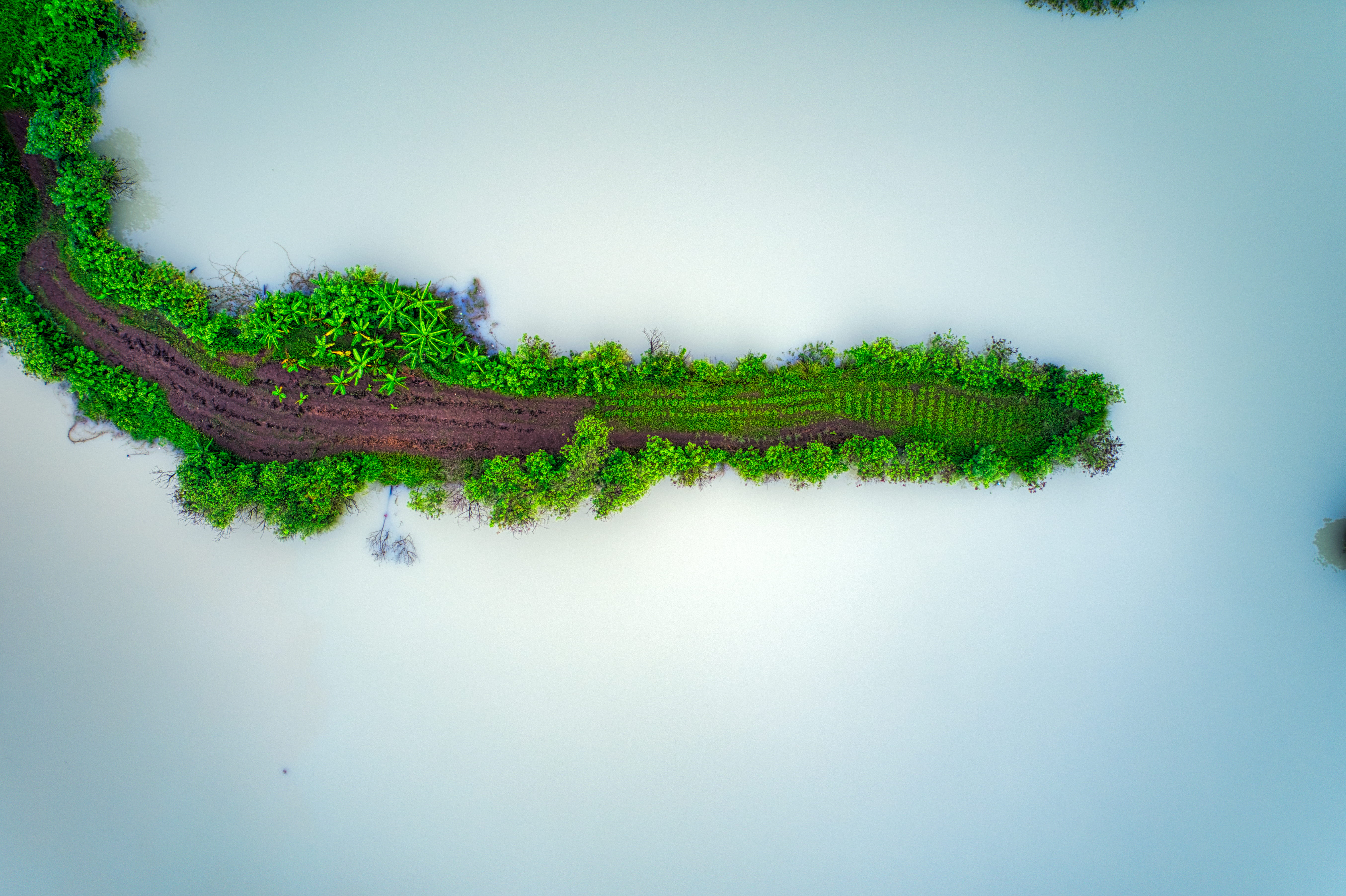 green, farm, outdoors, birds eye view, scenics - nature, sky, lake, bird, cropland, from above, grow, tree, land, aerial footage, tranquil scene, tranquility, HD Wallpaper