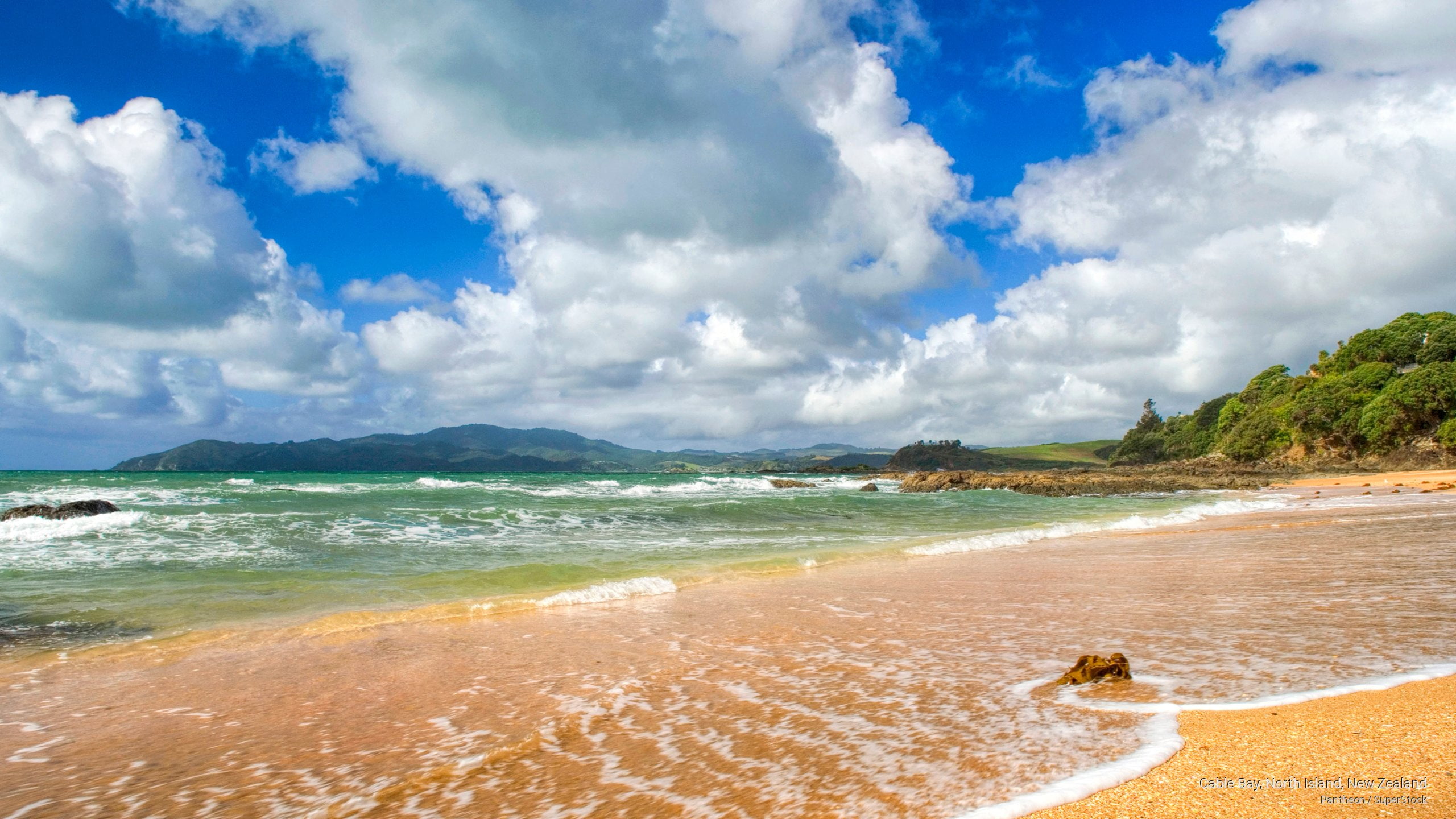 north, Oceania, bay, new, island, zealand, cable, 2K, HD Wallpaper
