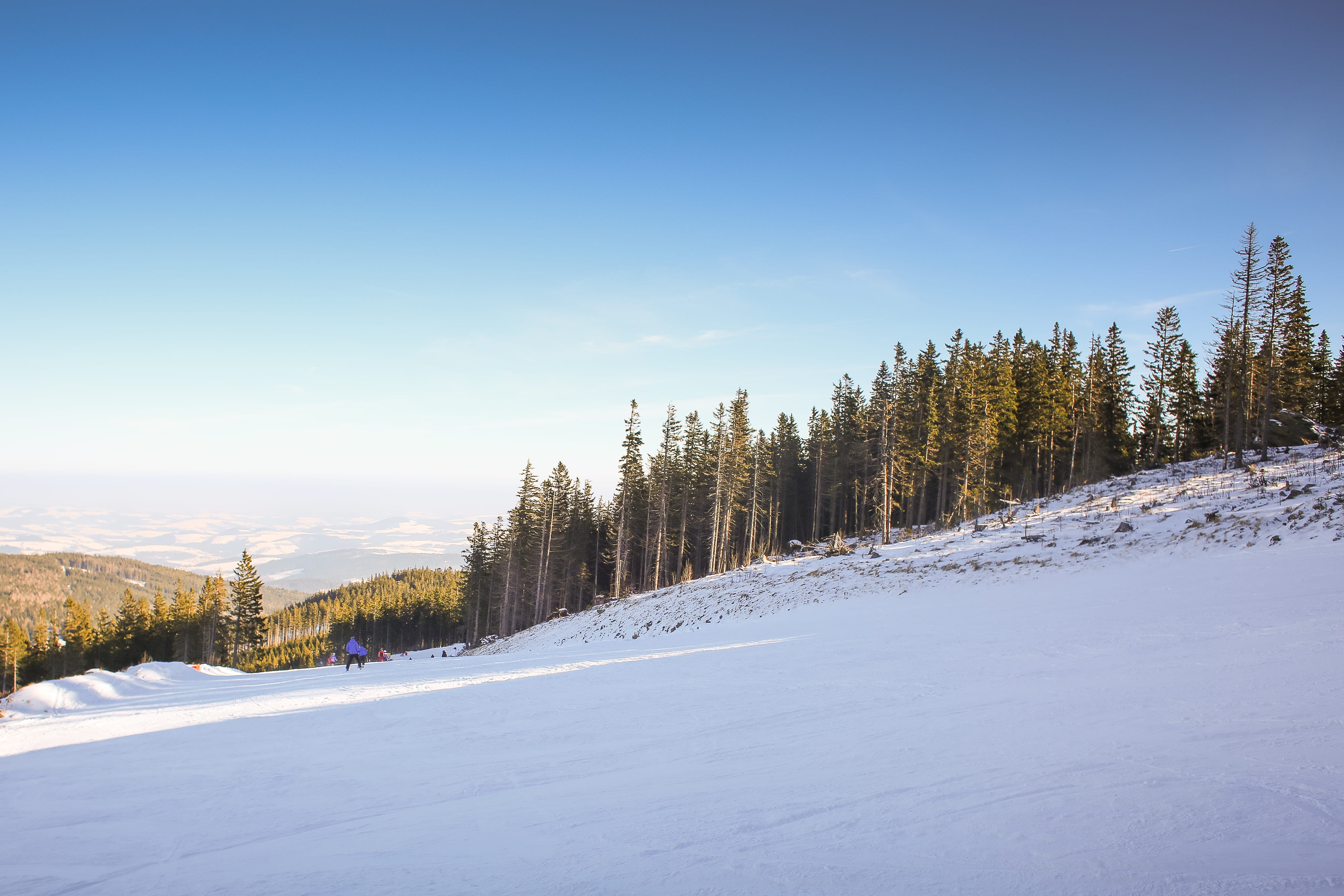 scenics, woodland, nature, white, ski, frozen, pine woodland, forest, cold, scenics - nature, blue, outdoors, hills, tranquility, landscape, panorama, 4K, HD Wallpaper