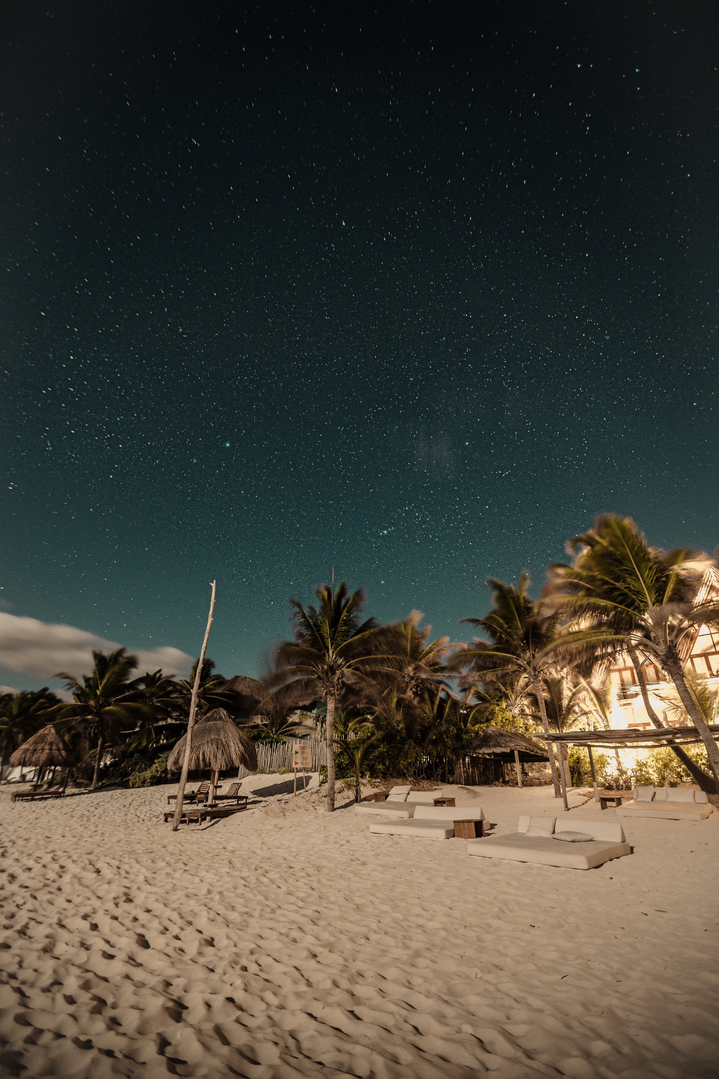 palm tree, long exposure, sky, plant, land, space, astronomy, nature, star - space, mexico, night shot, scenics - nature, sand, 2K, palm, loungers, starry night, Phone HD Wallpaper