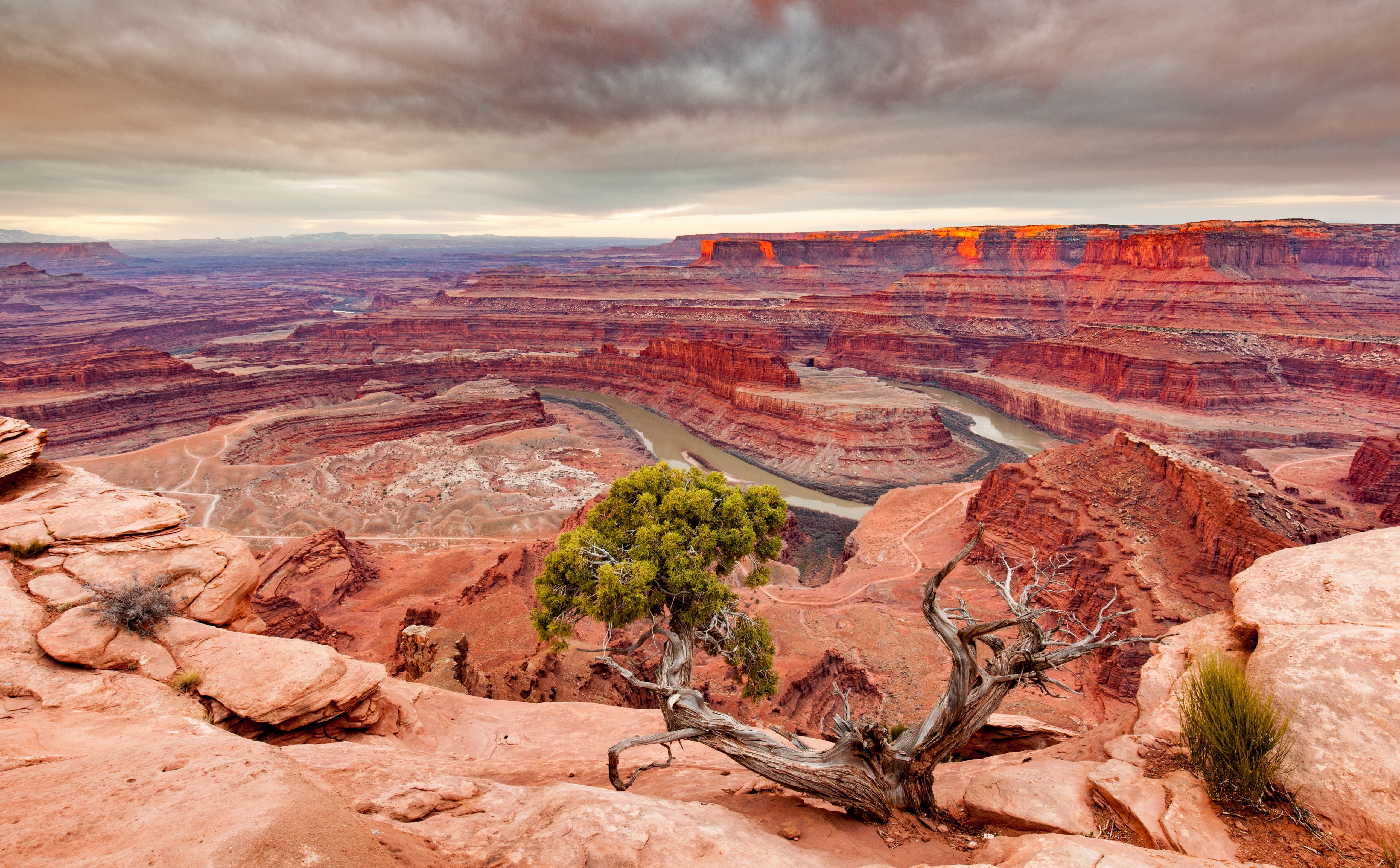 Beautiful, physical geography, tranquil scene, canyonlands, formation, Tour, visit, Landscape, Nature, unitedstates, river, scenics - nature, sandstone, HD Wallpaper