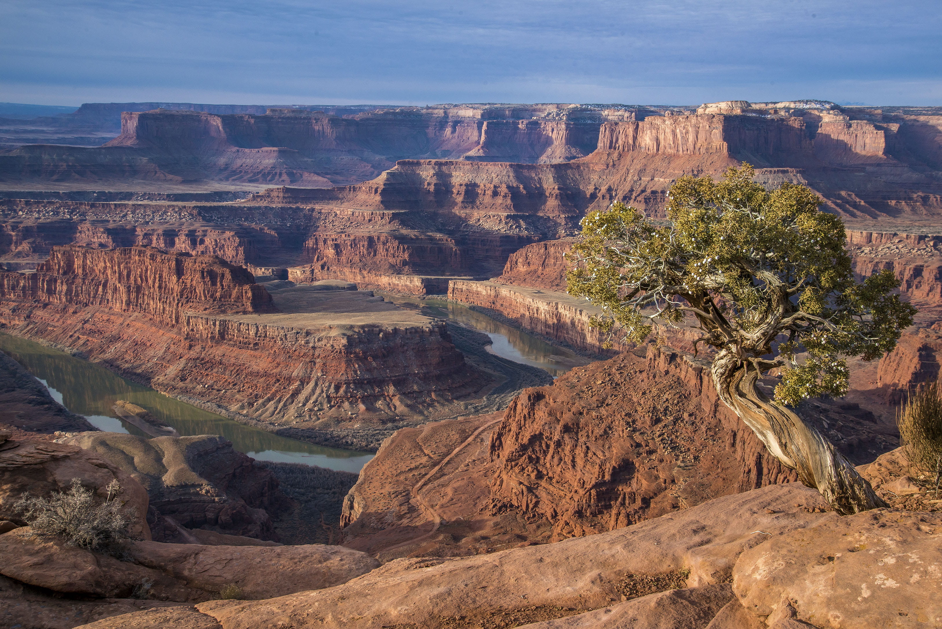 outdoors, colorado river, tranquil scene, travel destinations, national park, dead horse point trail, rock formations, canyonlands, usa, climate, physical geography, HD Wallpaper