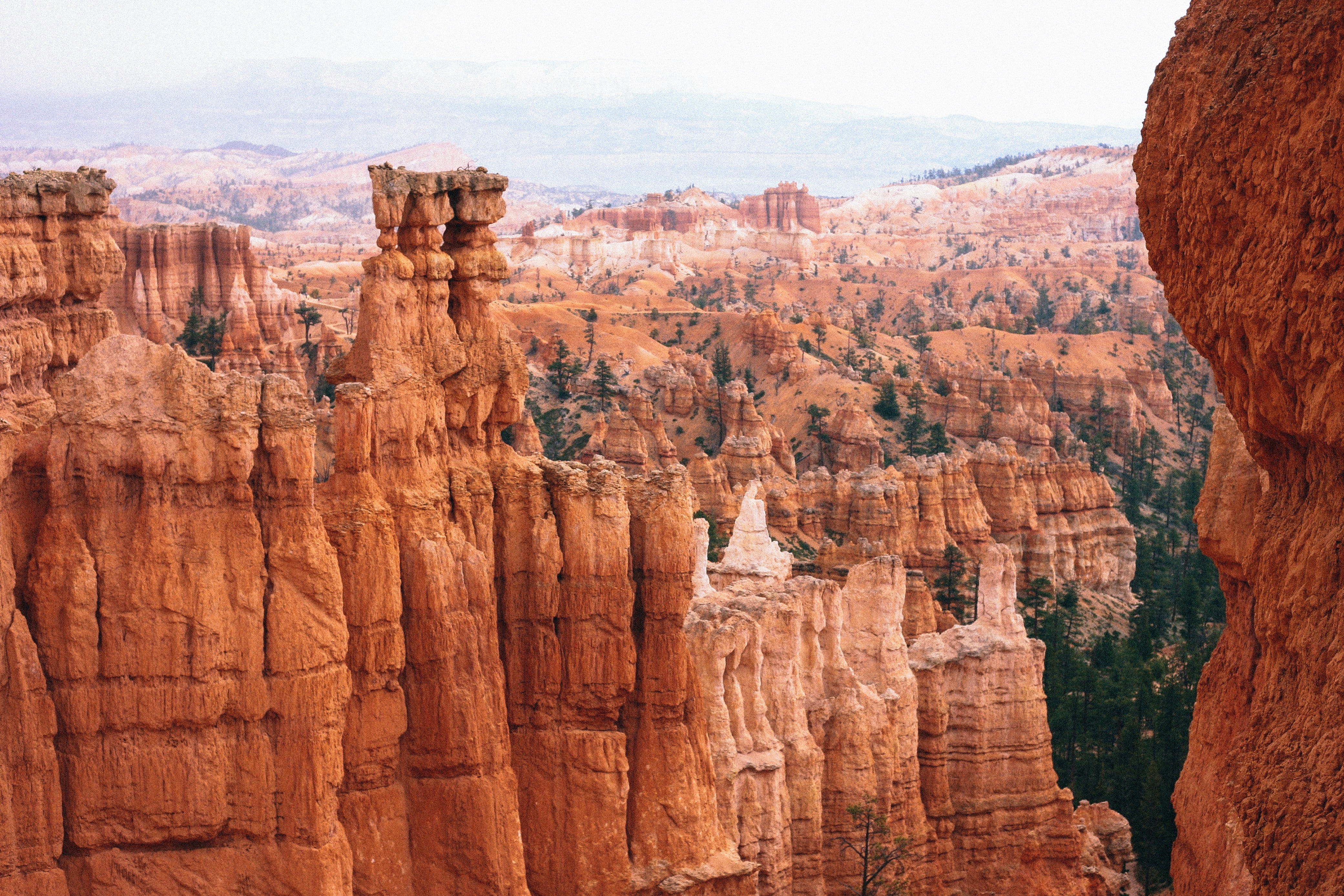 physical geography, arid climate, day, trees, rock - object, eroded, scenics - nature, geology, sandstone, tranquil scene, no people, travel destinations, HD Wallpaper