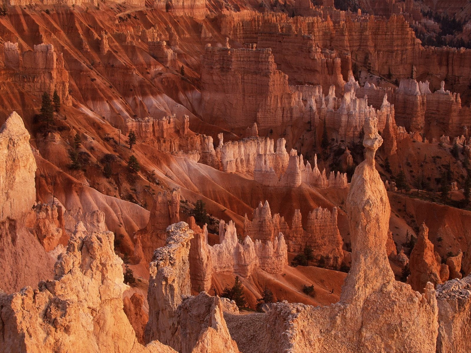 rock Formation, travel, day, arid climate, desert, awe, sandstone, majestic, bryce Canyon, extreme Terrain, solid, nature, geology, tourism, physical geography, HD Wallpaper