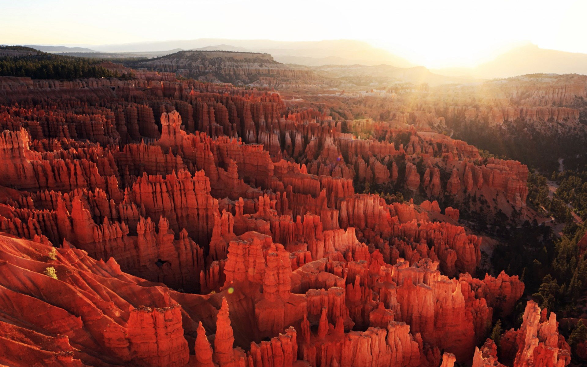no people, windows, grand, canyon, geology, scenics - nature, beauty in nature, rock - object, remote, tranquil scene, travel, plant, bryce, HD Wallpaper