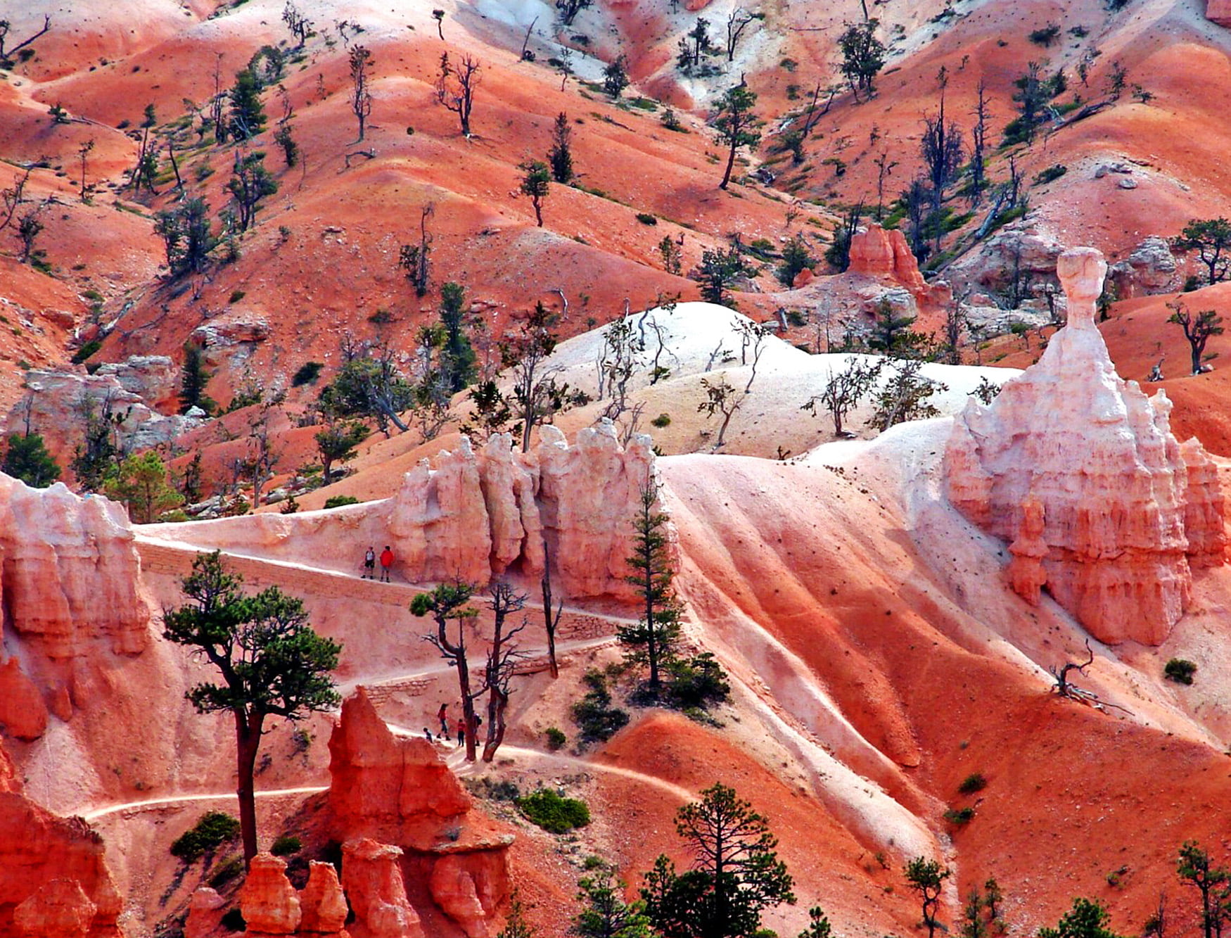 photo, red, outdoors, Landscapes, orange Color, bryce, landscape, 720P, hills, Trails, rock - Object, National Parks, Formations, Sandstone, daytime, nature, HD Wallpaper
