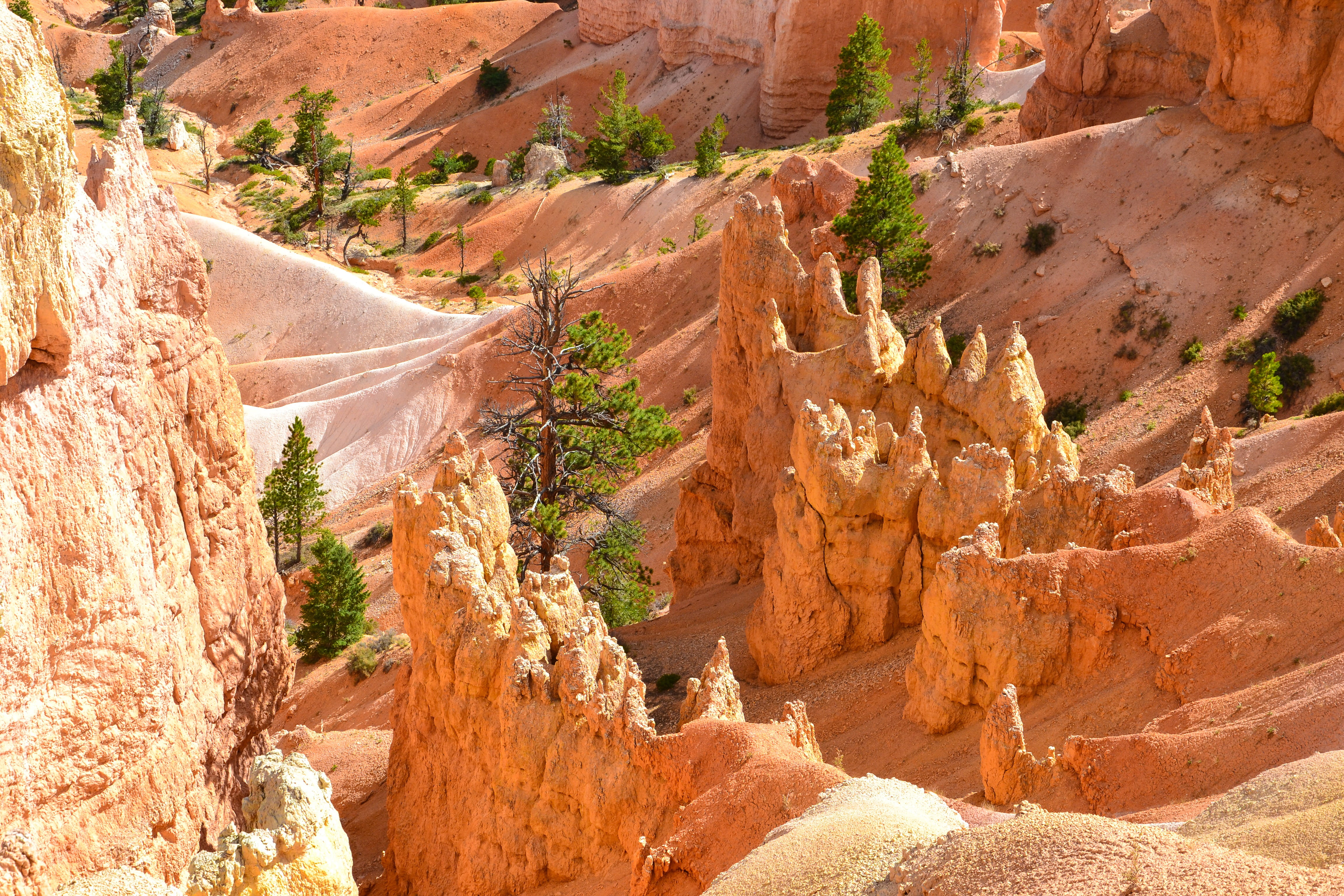 travel Locations, sunlight, stone - Object, scenics, no People, orange, Usa, geology, eroded, scenics - nature, outdoors, tranquil scene, rock formation, HD Wallpaper