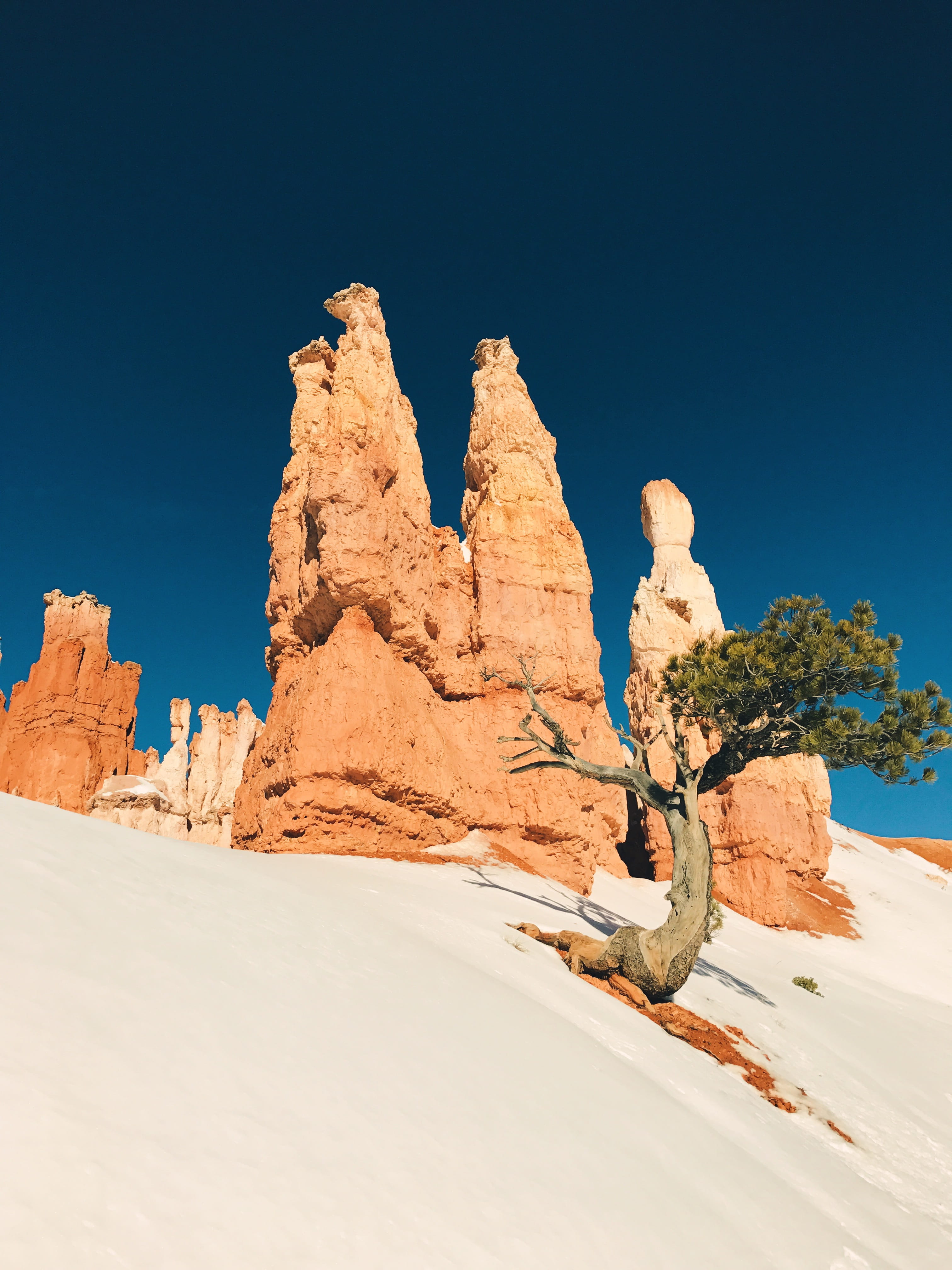 climate, tree, arid Climate, blue, tranquil scene, non-urban scene, sky, beauty In Nature, clear sky, cliff, outdoors, mountain, geology, rock Formation, Phone HD Wallpaper
