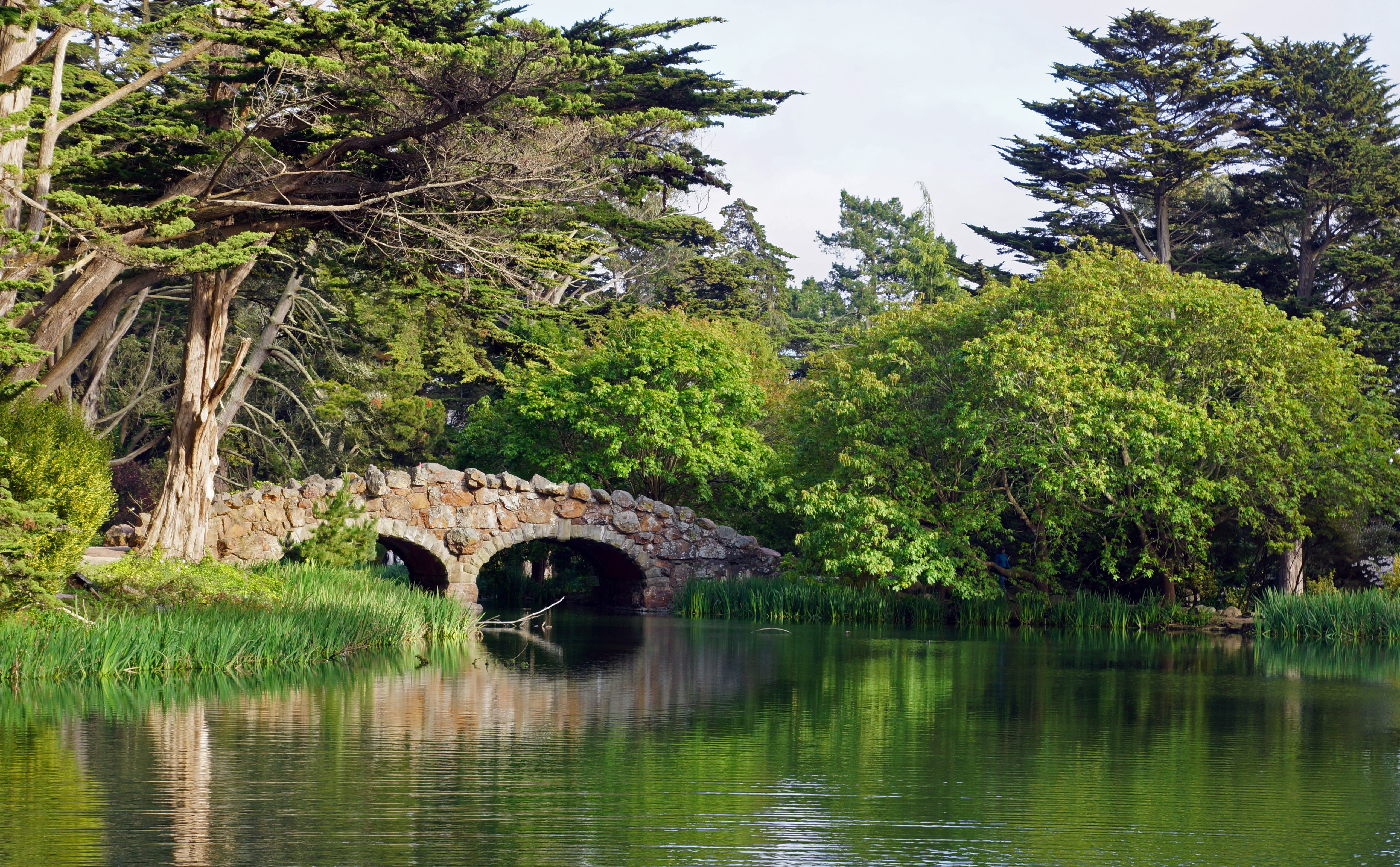 Sony, architecture, tree, amerika, Park, no people, tourism, recreation, kalifornien, tranquility, san, river, bridge, Golden, green color, beauty in nature, HD Wallpaper