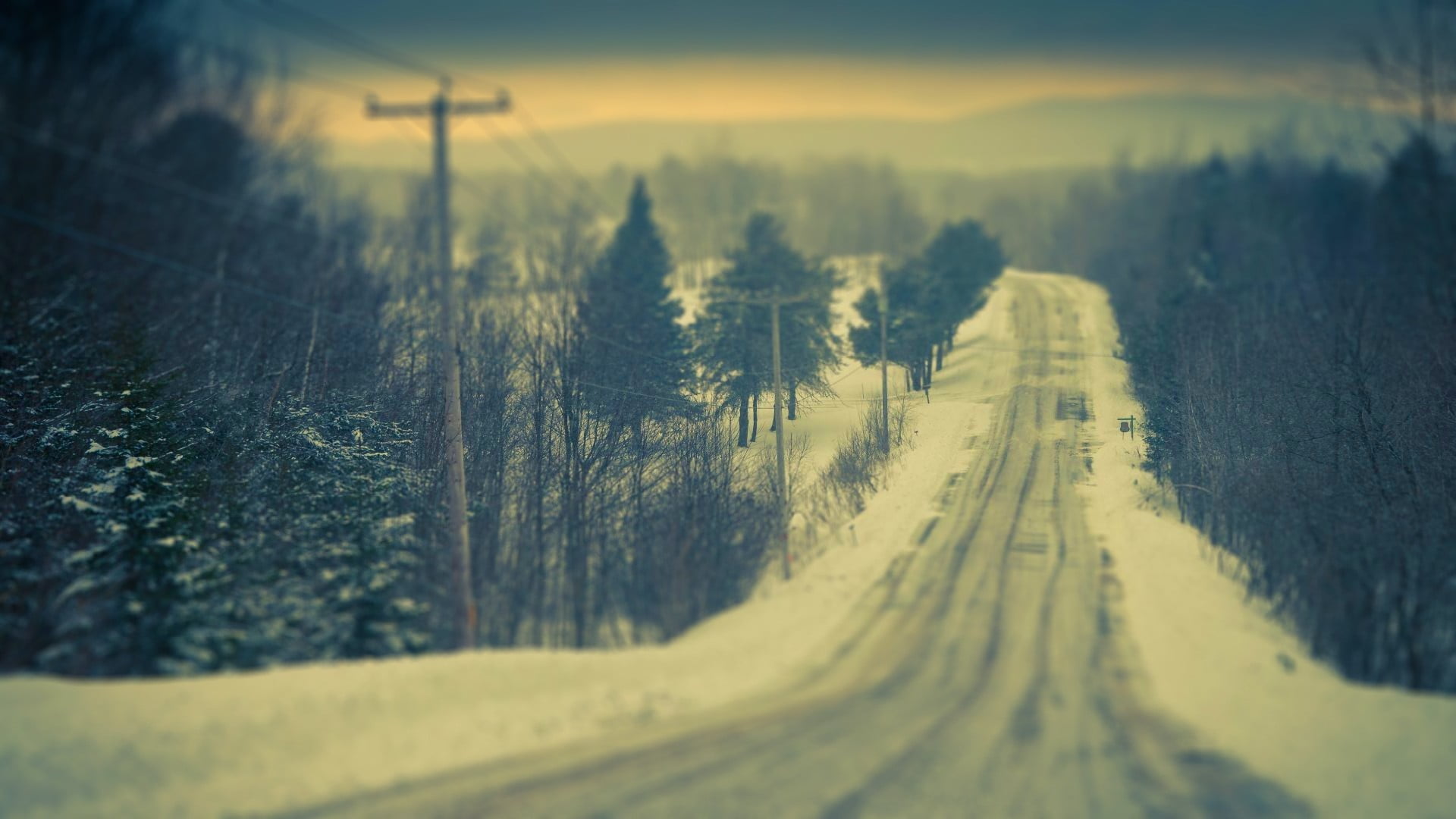 vintage, cold temperature, trees, landscape, no people, 1080P, tree, snow, winter, beauty in nature, tranquility, nature, sky, day, road, plant, non-urban scene, HD Wallpaper