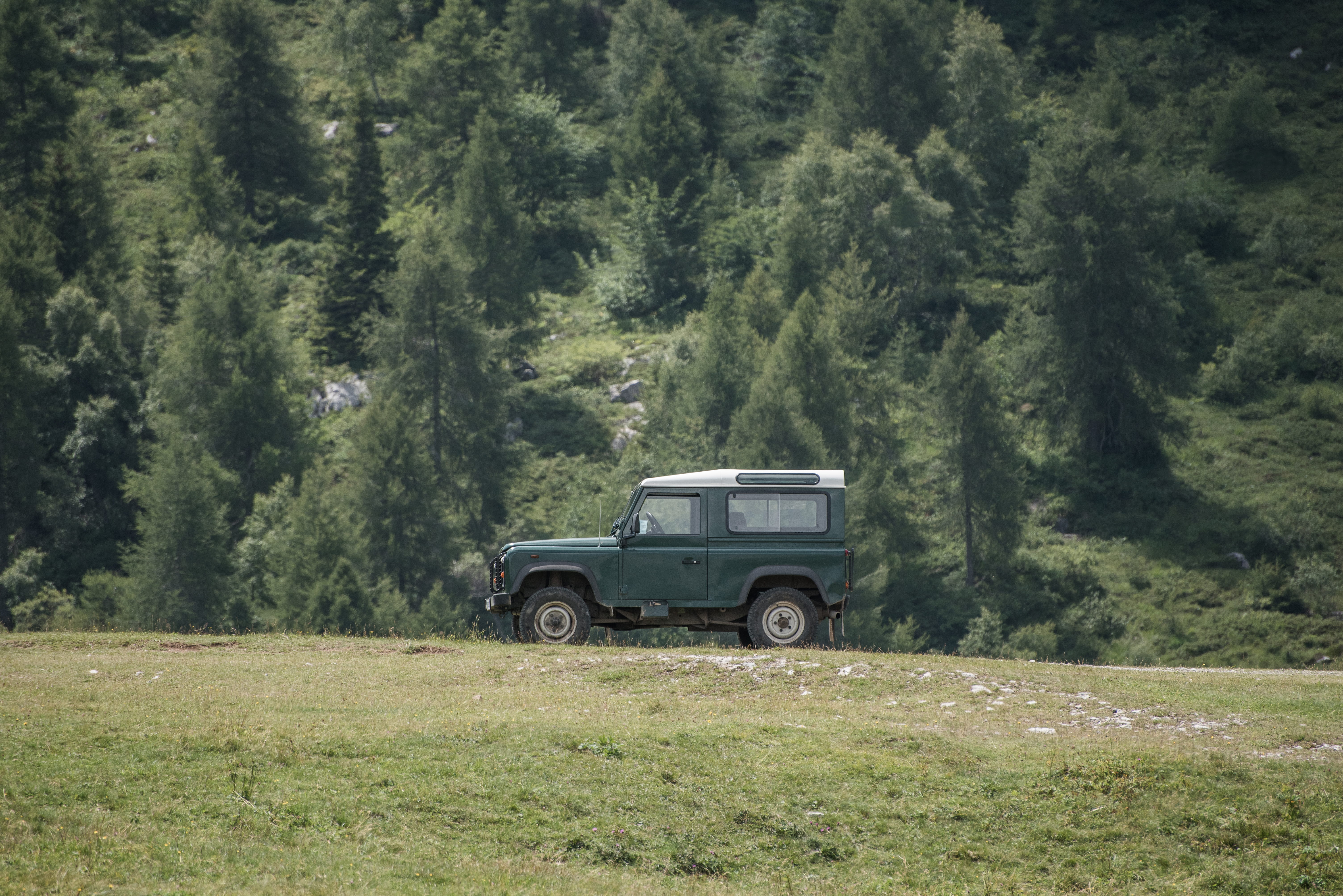 field, land, land vehicle, 5K, off-road vehicle, grass, alessio soggetti, road, car, foliage, pick-up truck, non-urban scene, growth, green color, defender, HD Wallpaper