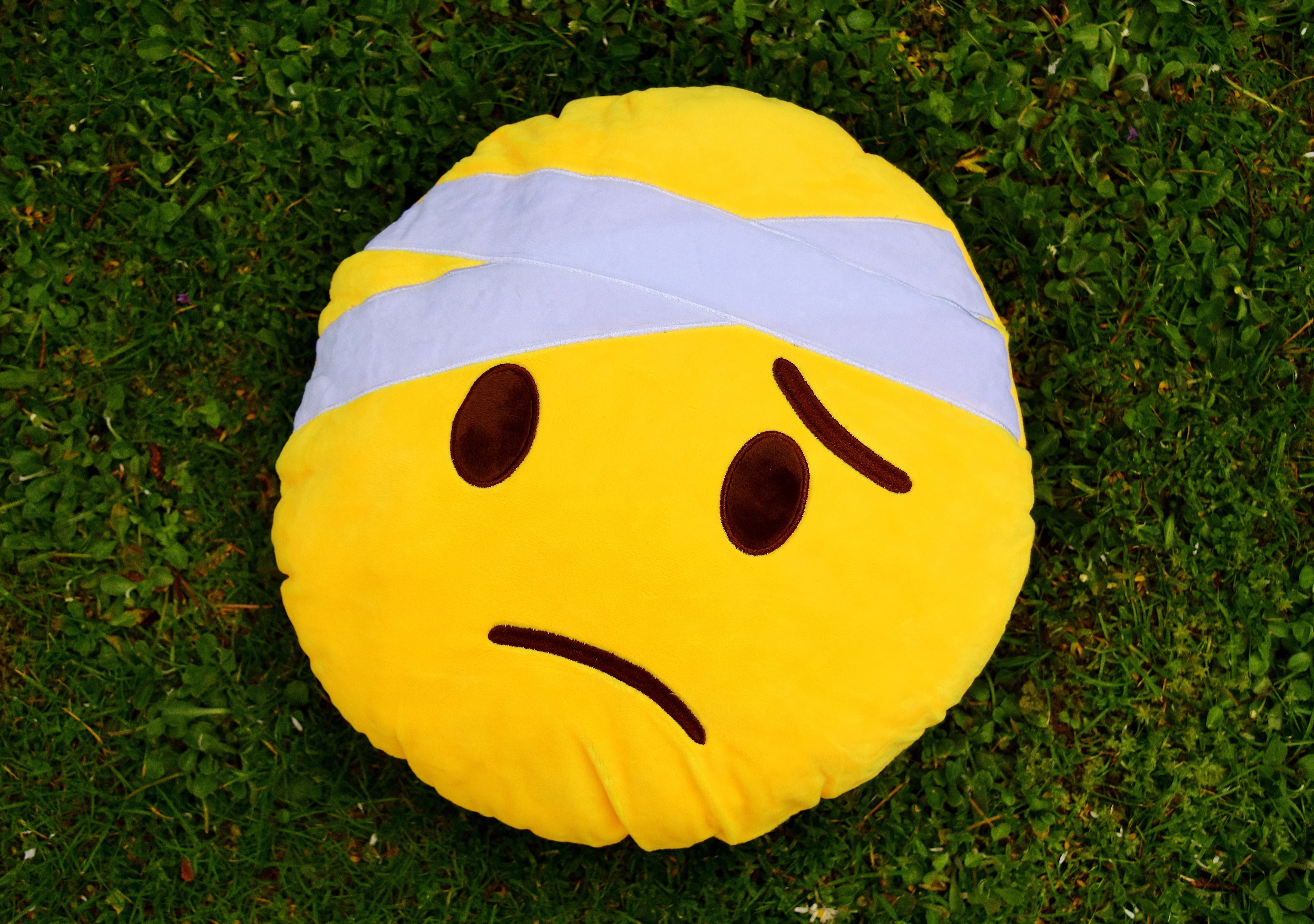human representation, field, smiley, plush, anthropomorphic, grass, yellow, green color, ill, pillow, plant, creativity, 5K, representation, nature, fun, HD Wallpaper