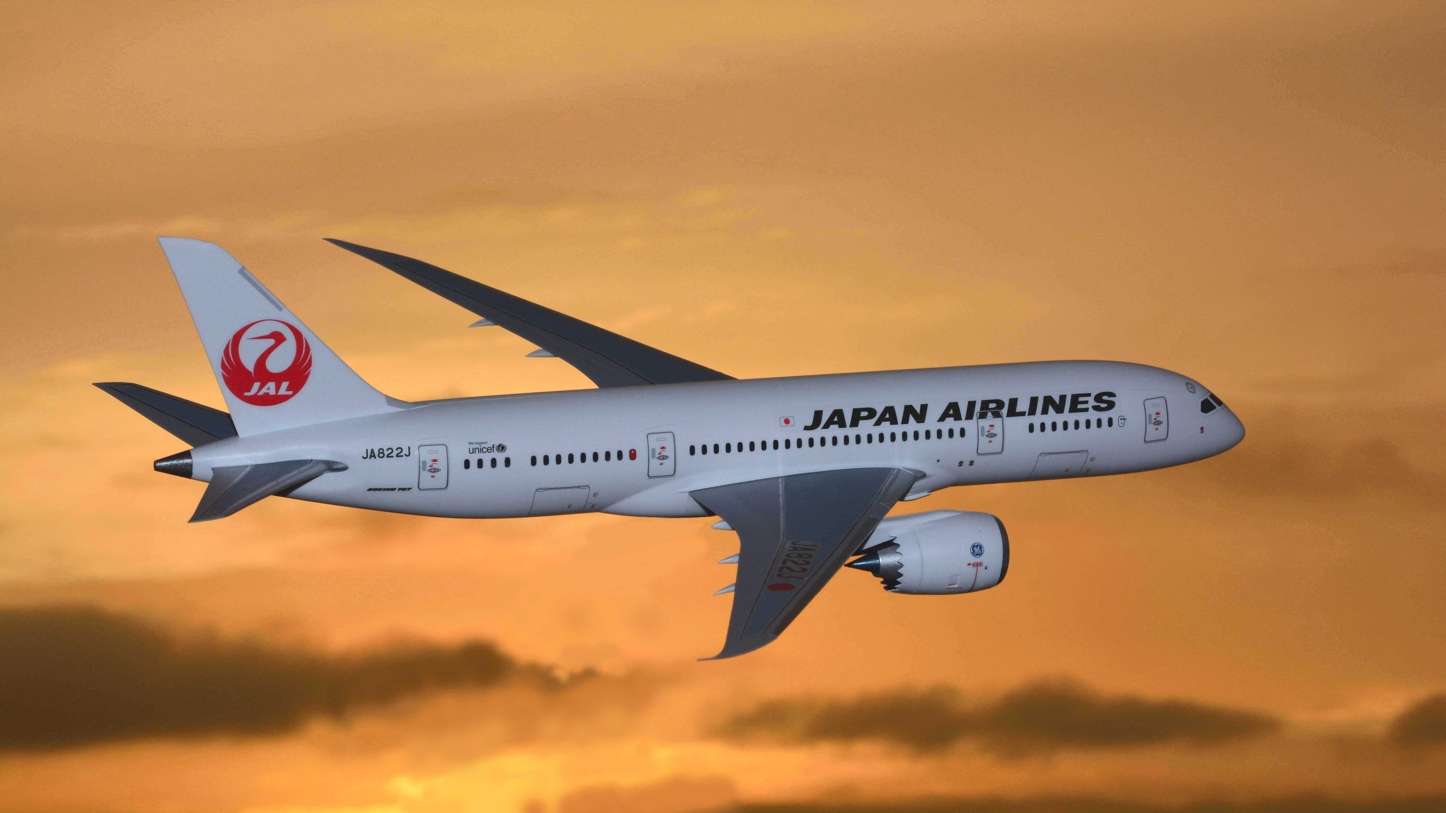 japan, transportation, military, sky, travel, airplane, fighter plane, on the move, nature, 5K, boeing 787, copy space, motion, sunset, japan airlines, HD Wallpaper