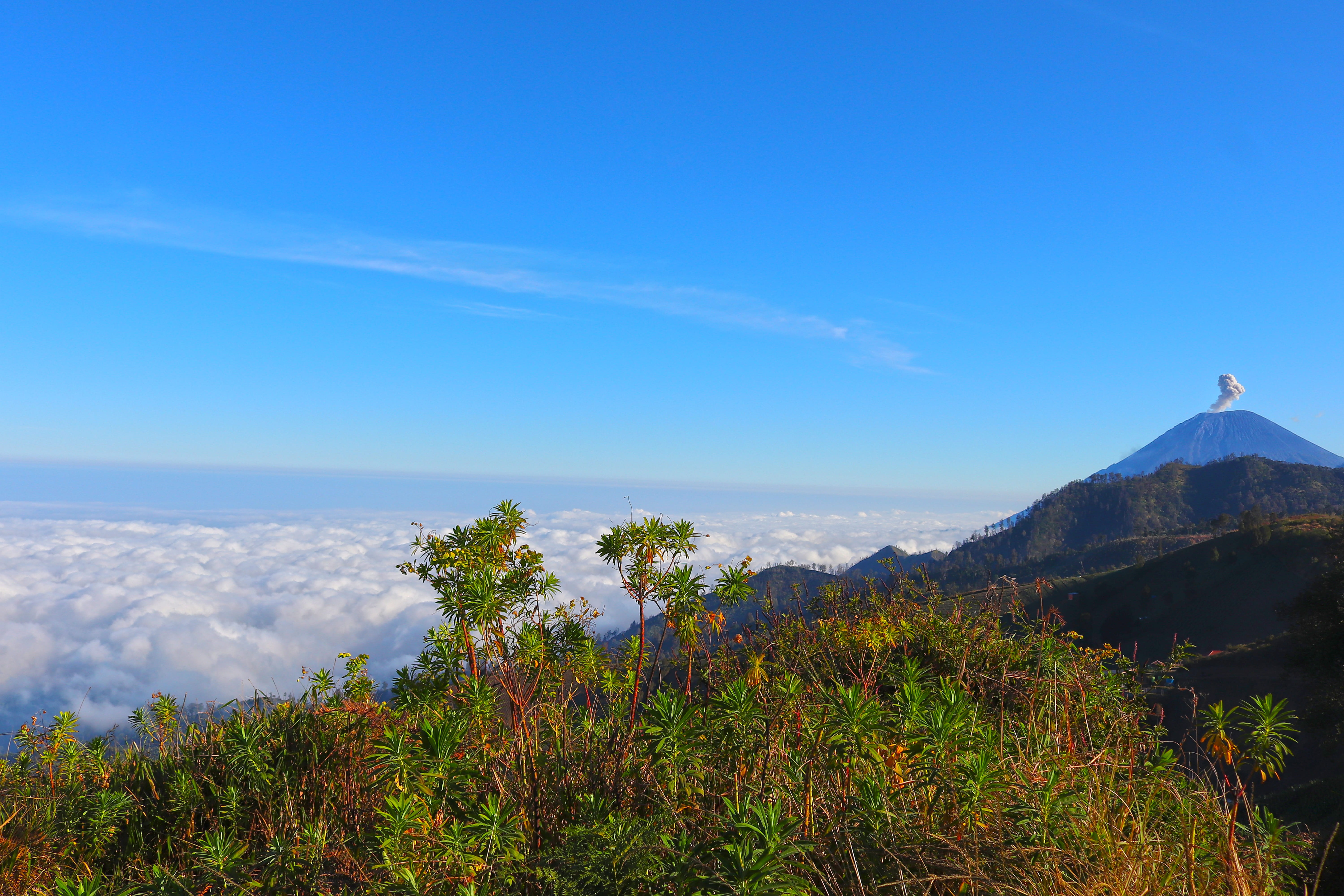 tranquility, blue, cloud - sky, savannah, trip, travel, growth, mount, day, mountain, fog, horizon over water, sea, volcano, java, beauty in nature, outdoors, HD Wallpaper