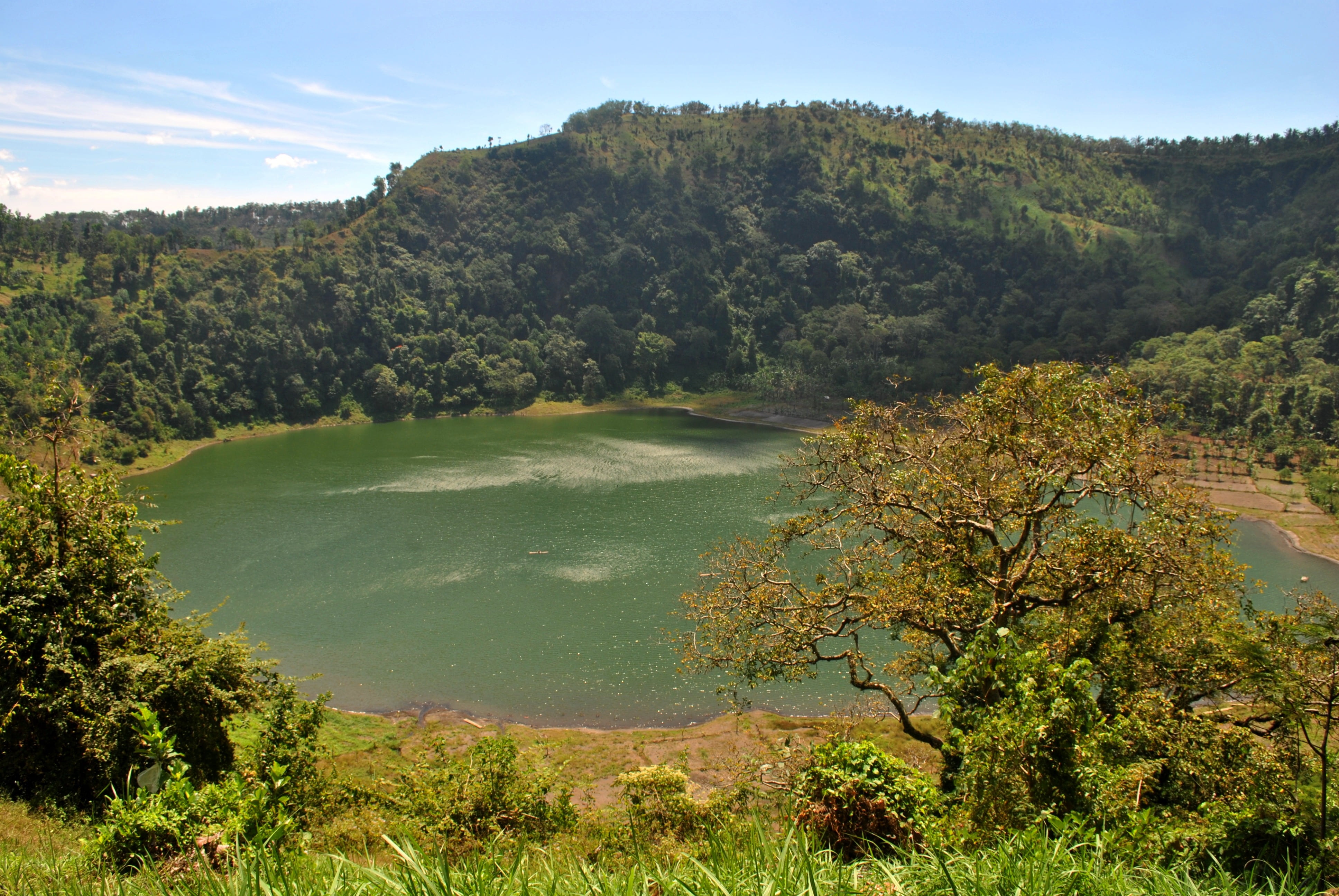 nature, outdoors, tree, water, java, no people, sunlight, growth, lake, day, tranquility, green color, plant, beauty in nature, environment, mountains, HD Wallpaper