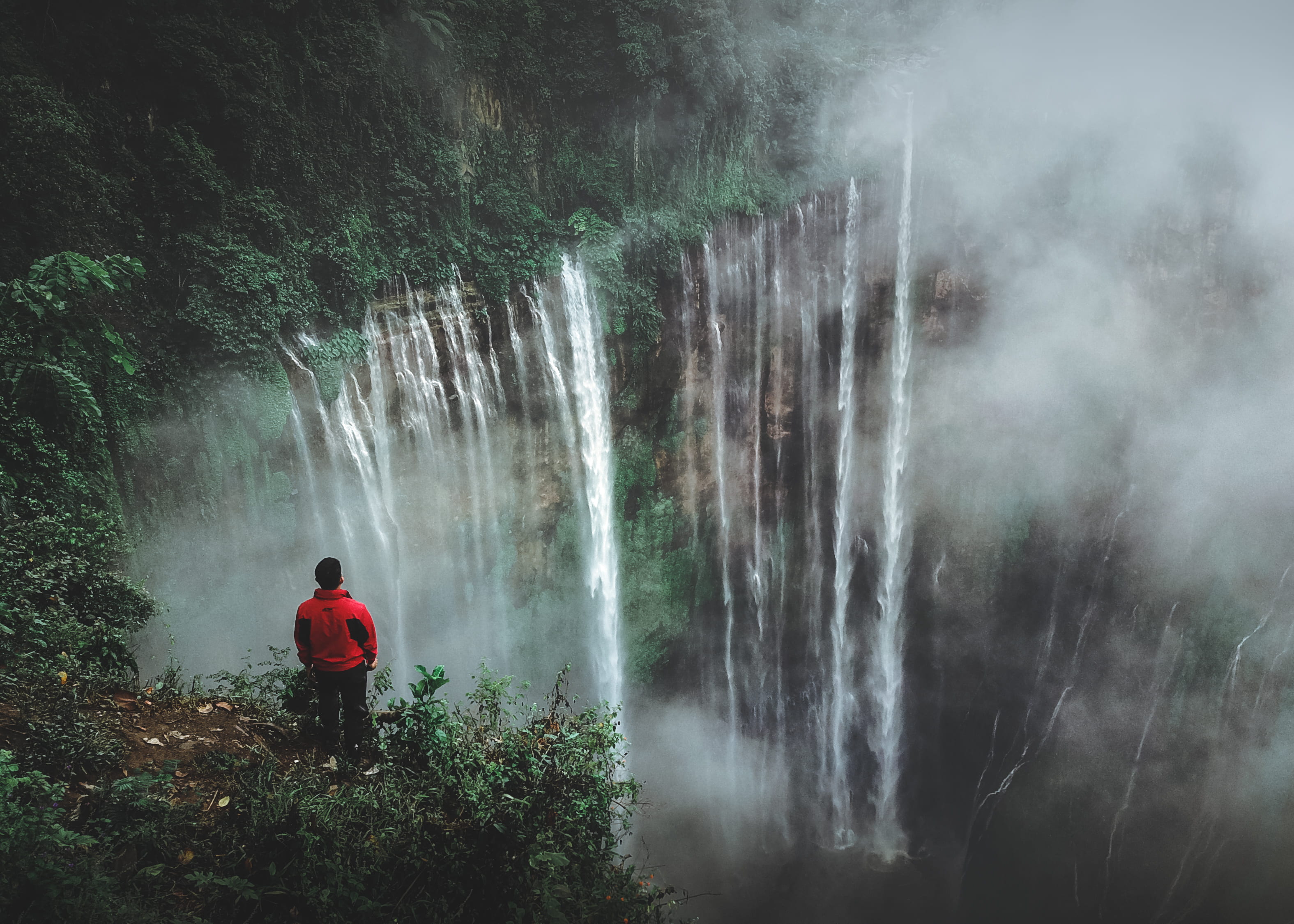 scenics - nature, trek, plant, outdoors, cliff, mountain, jungle, man, indonesia, leisure activity, red, daytime, motion, near, east java, person, jacket, HD Wallpaper