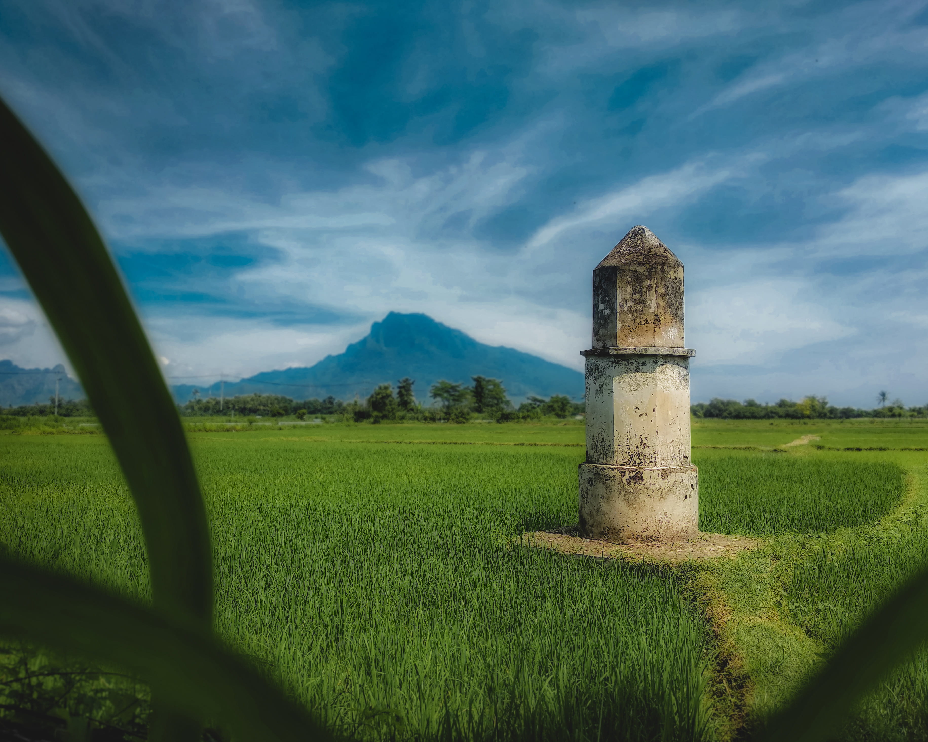 rice field, outdoors, azure sky, east java, tugu portugis, scenics - nature, tranquil scene, situbondo, green color, indonesia, 2K, portuguese, grassland, HD Wallpaper