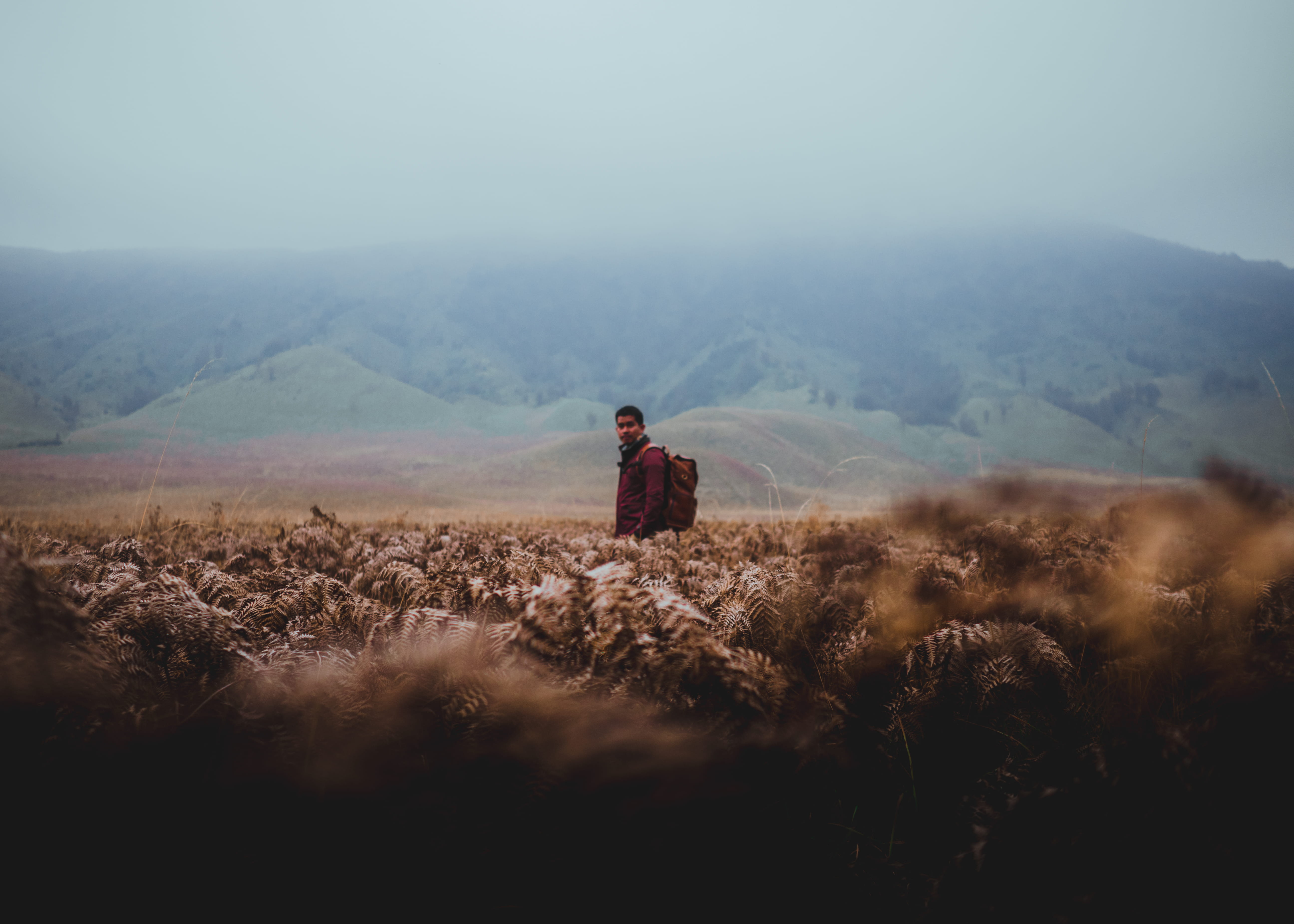 dry season, adventure, travel, people, healthy Lifestyle, man, beauty In Nature, outdoors, hill, jacket, males, standing, landscape, love, color, field, HD Wallpaper