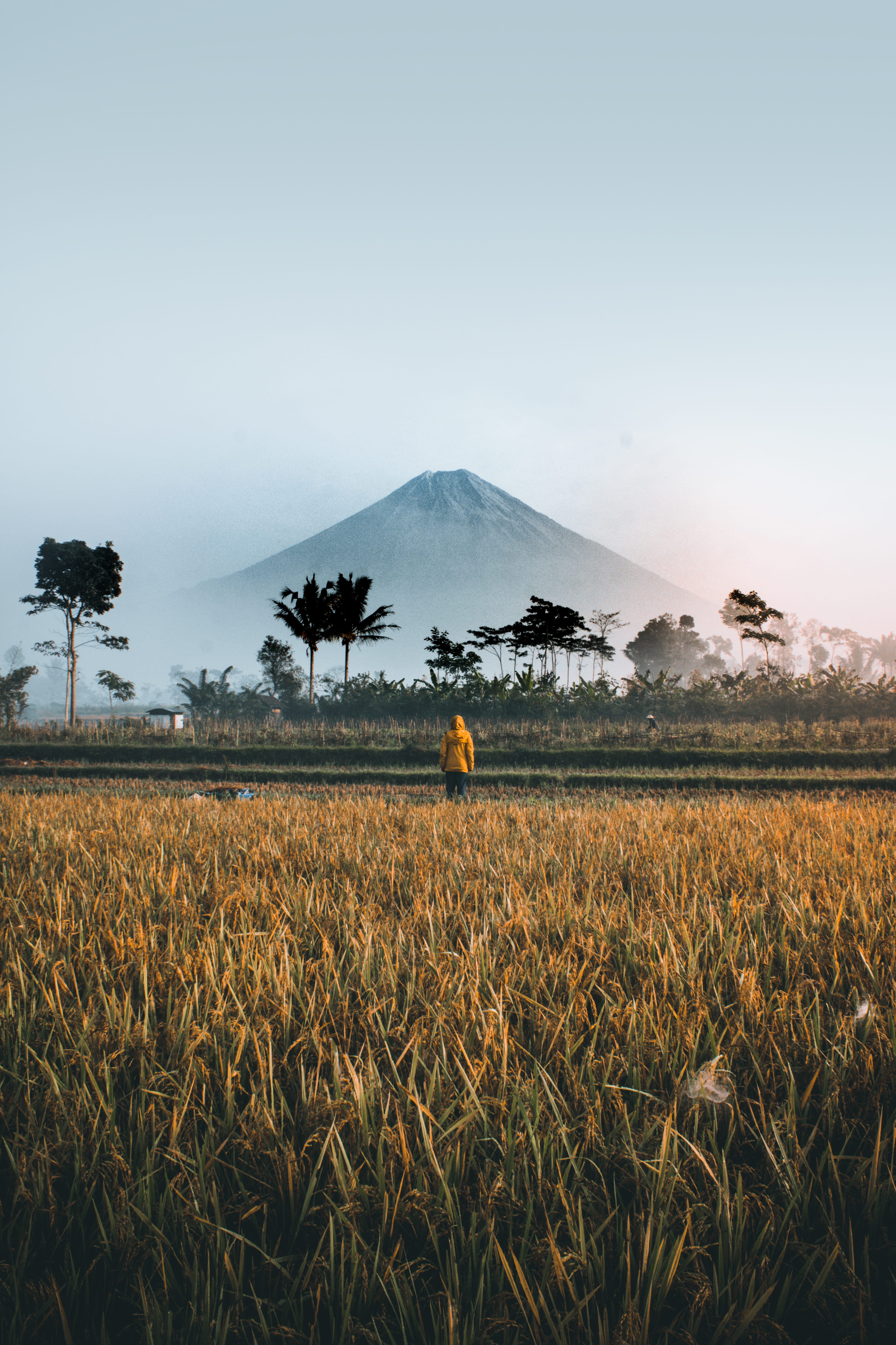person, sky, outdoors, outdoor, photography, wild life, rice Paddy, volcano peak, volcano, land, beauty In Nature, landscape wild, plant, sunset, asia, Phone HD Wallpaper