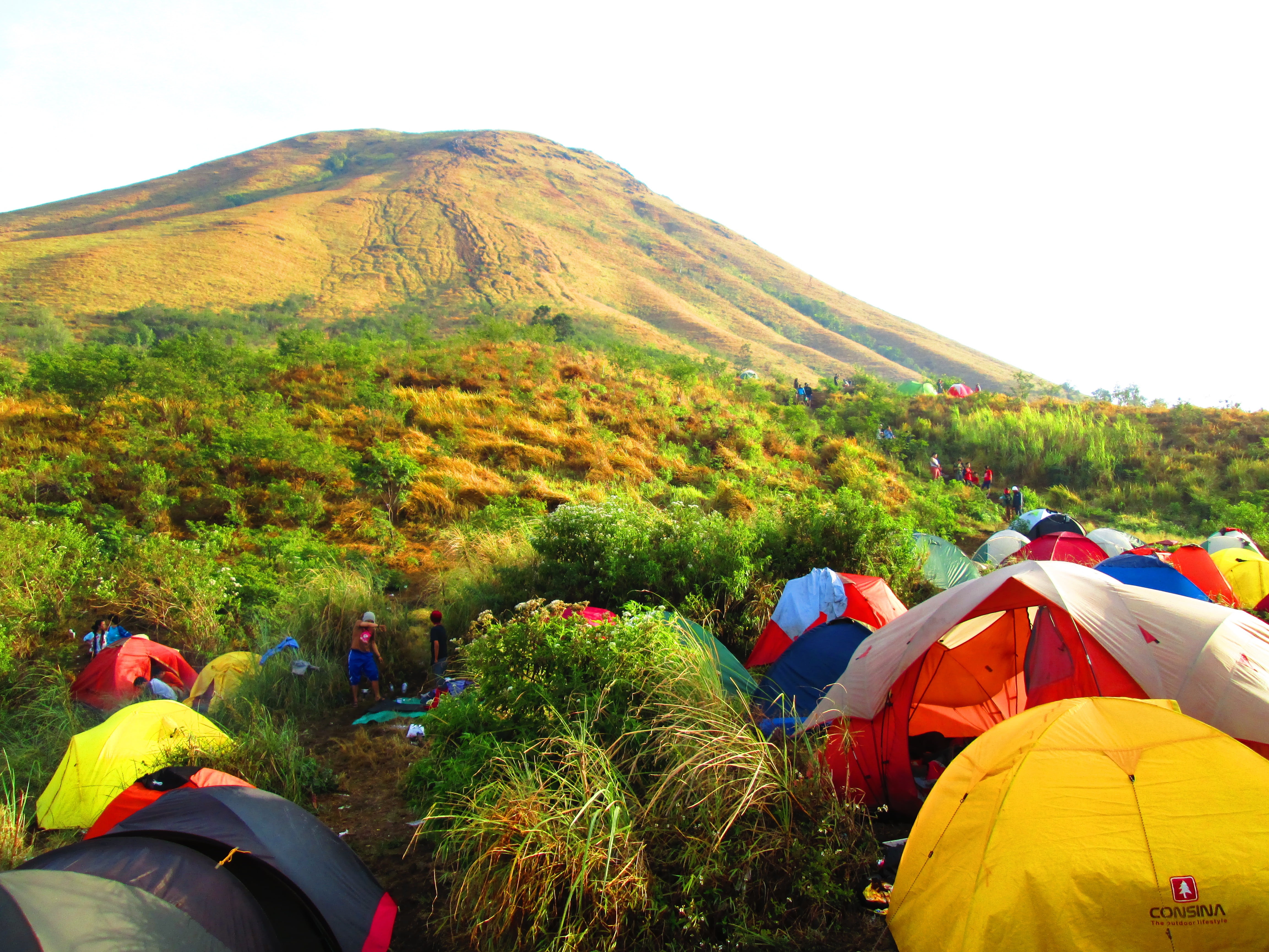 men, mountain, mount, tree, adventure, morning, plant, nature, indonesian, lifestyles, environment, east java, group of people, tent, camp, outdoors, scenics - nature, HD Wallpaper