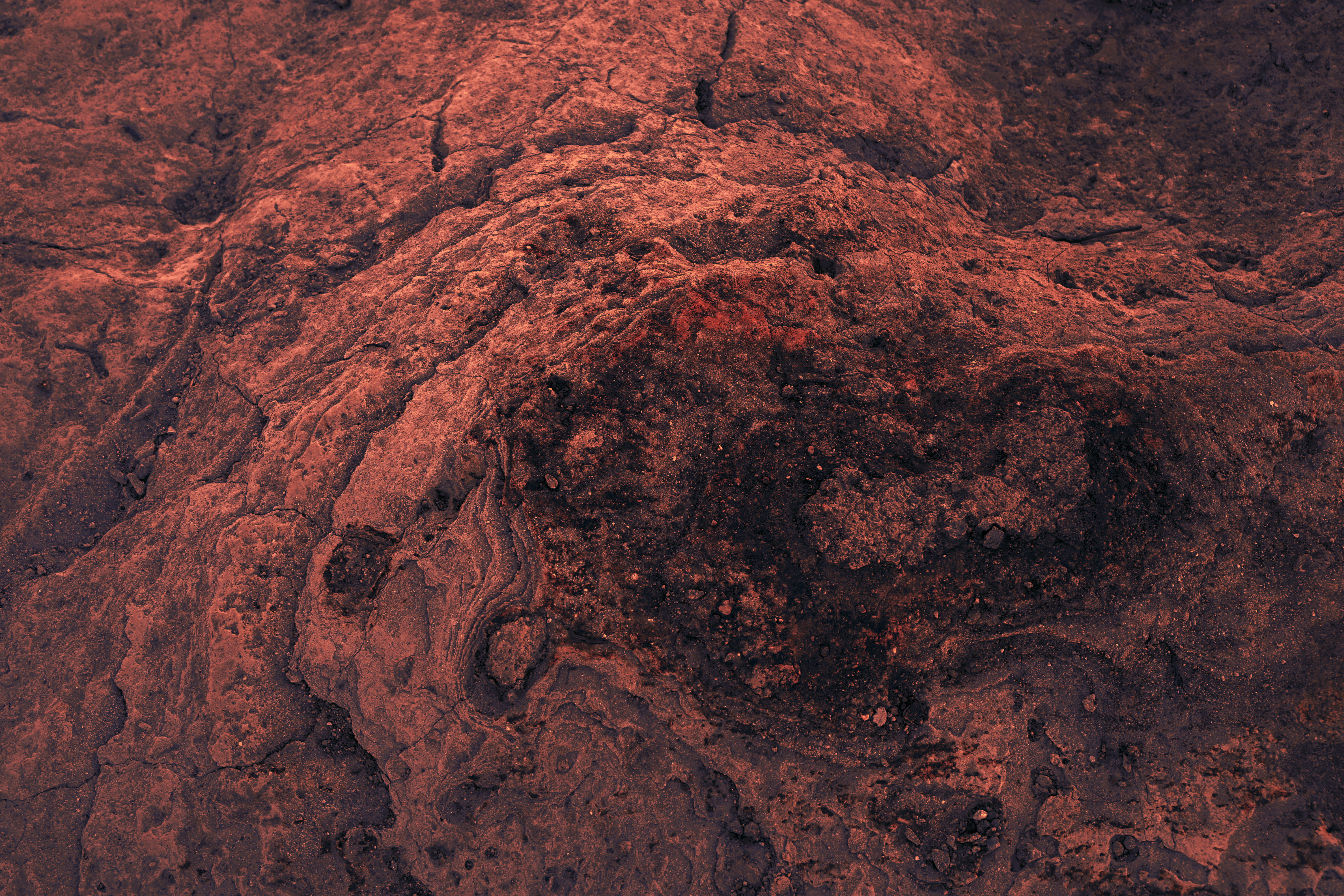 rock - object, brown, volcano, environment, solid, nature, tranquility, texture, mountain, day, formation, layered, top, bird, close-up, 5K, outdoors, HD Wallpaper
