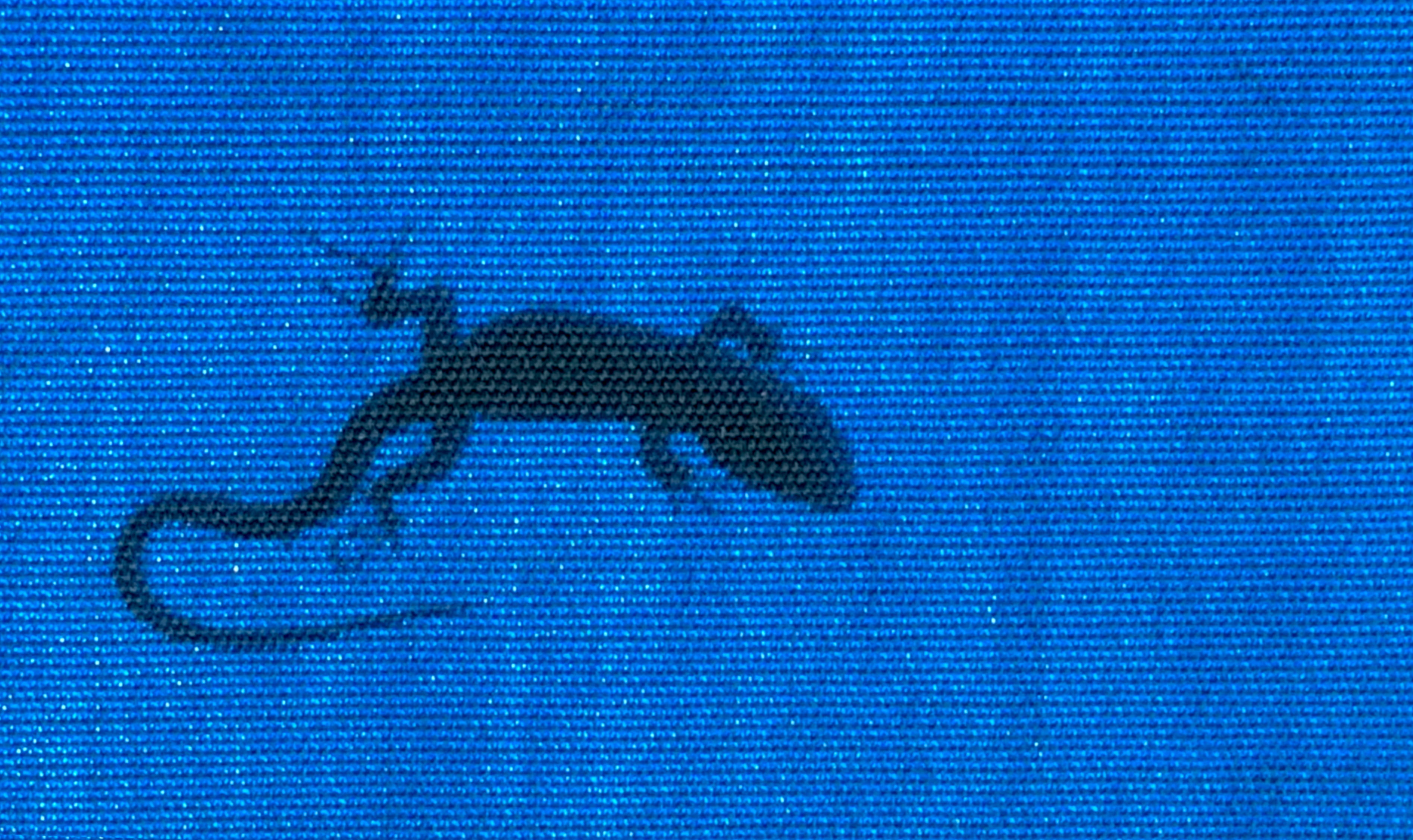 technology, 2K, trout, safety, fish, no people, tadpole, finance, communication, close-up, salamander, sea turtle, computer icon, symbol, wireless technology, HD Wallpaper