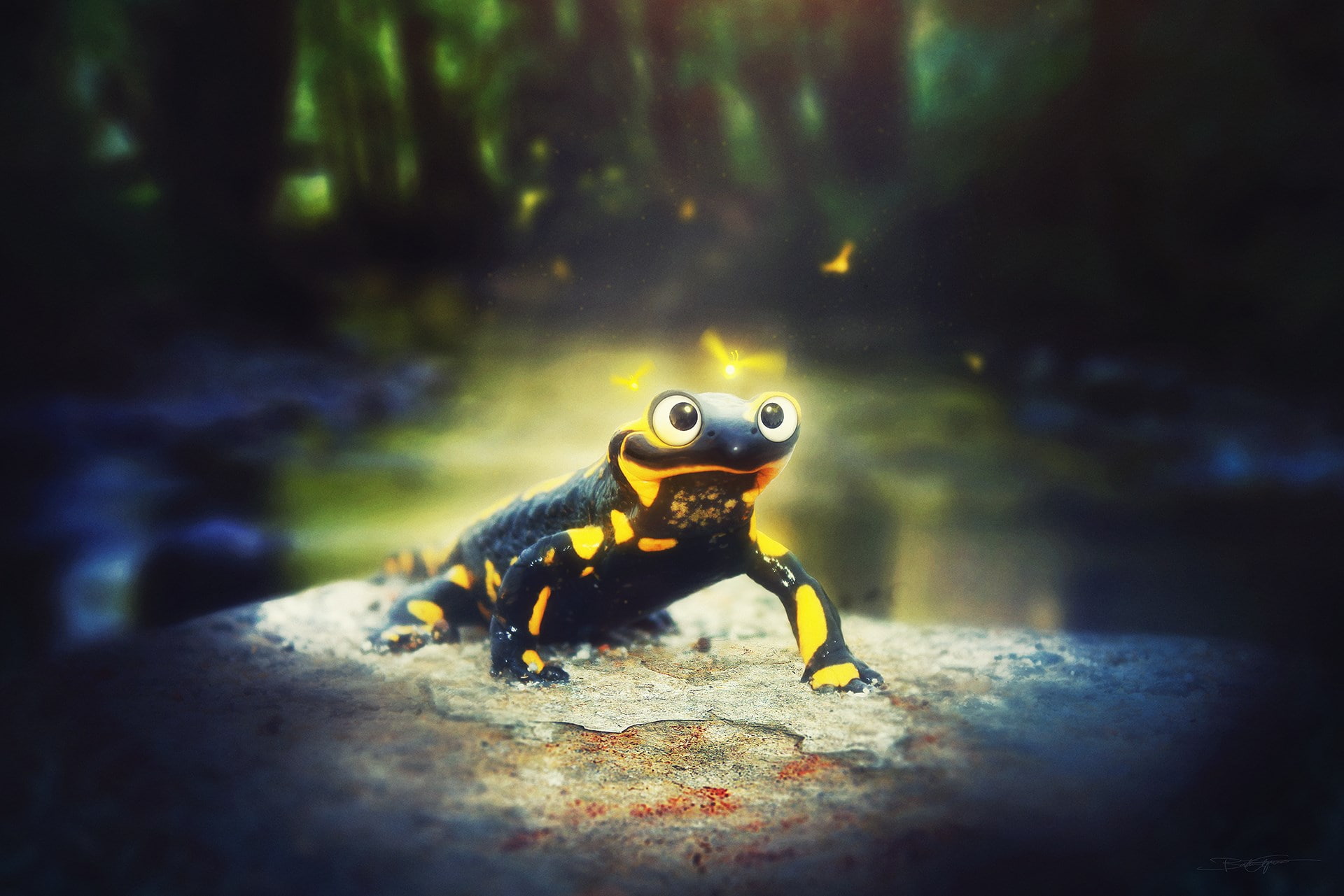 marine, animals in captivity, selective focus, sea life, water, undersea, vertebrate, 1080P, animal themes, outdoors, close-up, underwater, fish, salamander, HD Wallpaper