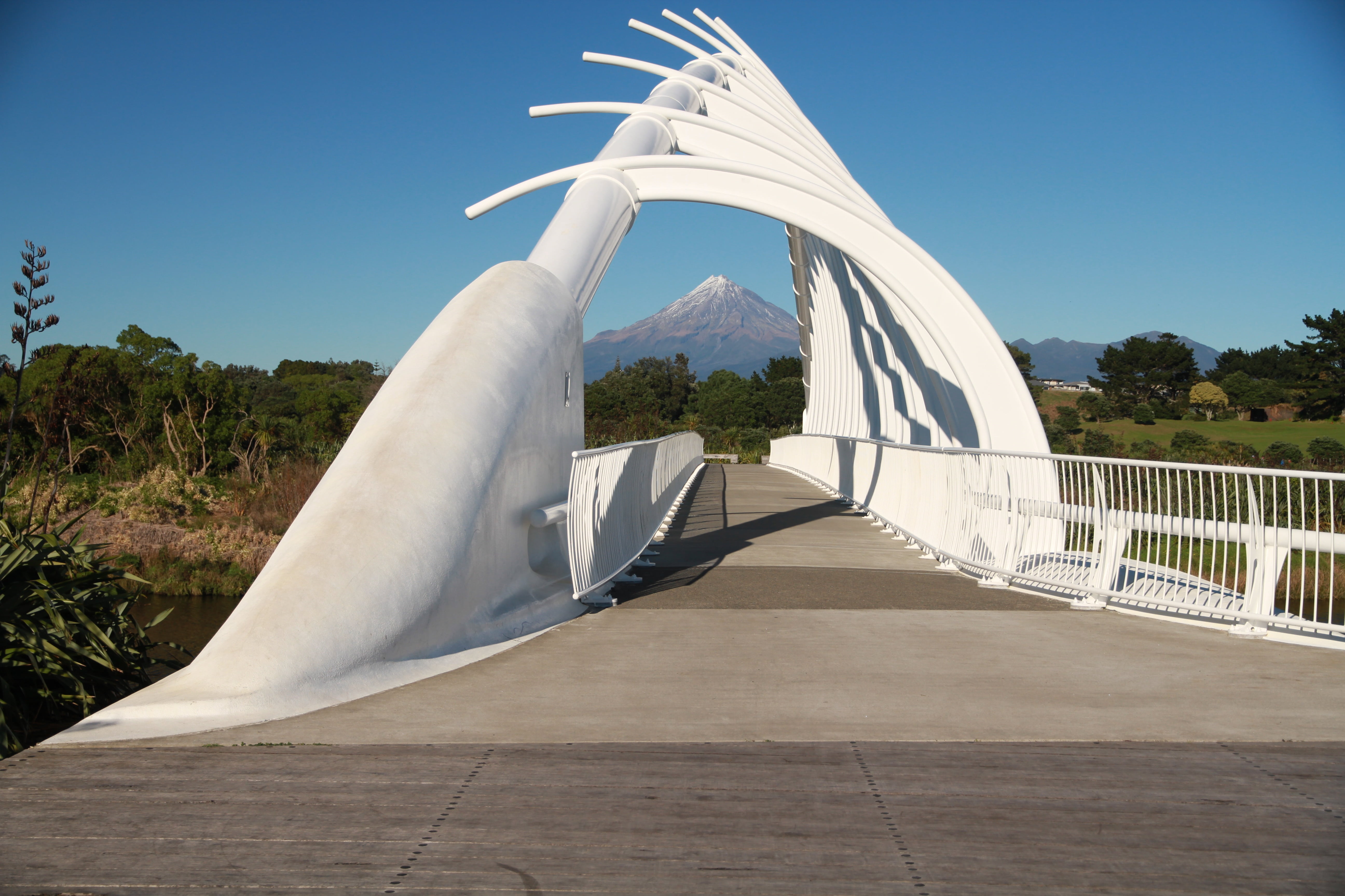 building exterior, travel destinations, tree, clear sky, bridge, sunlight, 5K, nature, new zealand, connection, sunny, transportation, white color, no people, HD Wallpaper