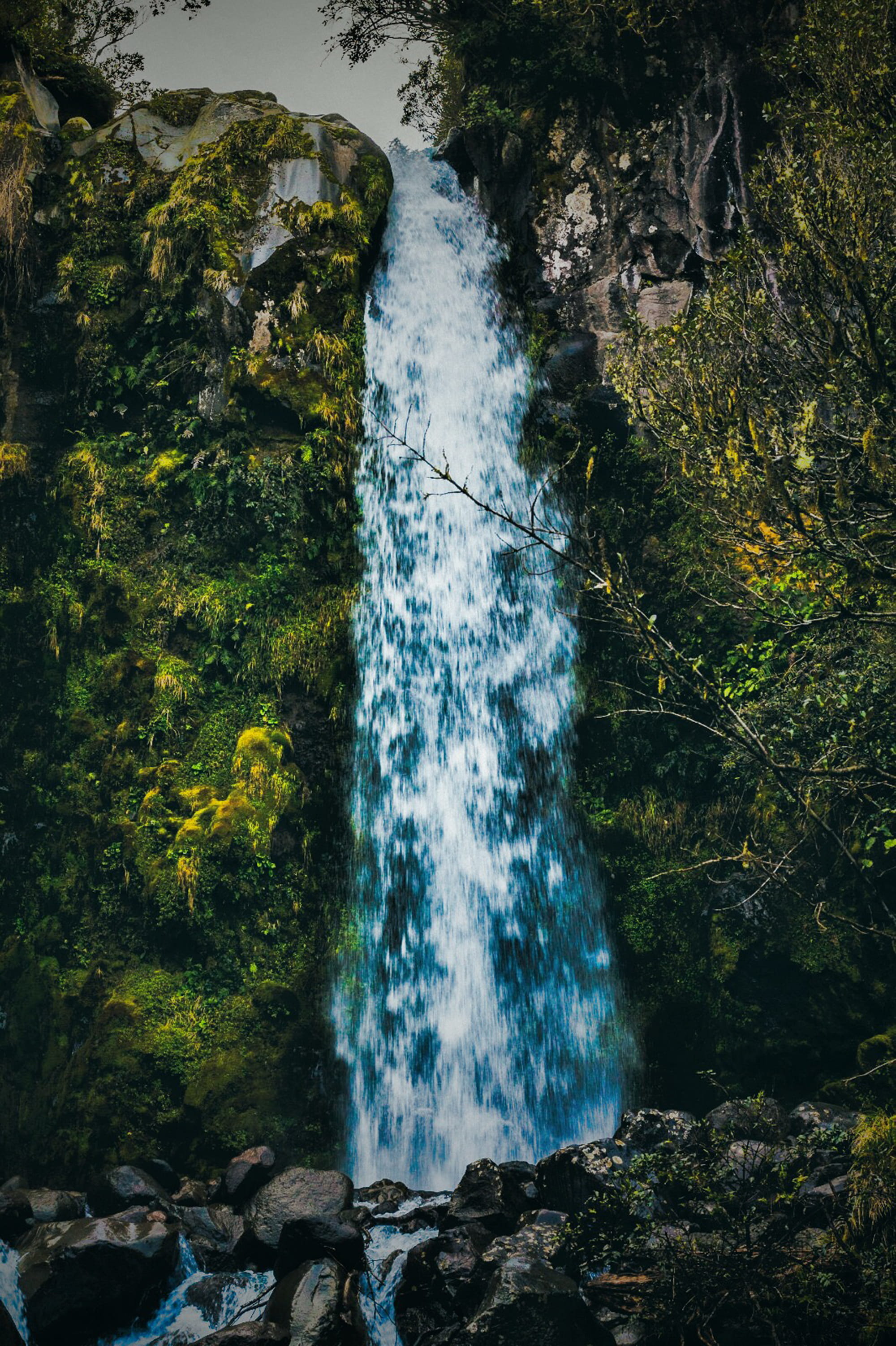 forest, 2K, outdoors, flowing water, long exposure, trees, rock, plant, blurred motion, day, nature, power in nature, falling water, new zealand, no people, Phone HD Wallpaper