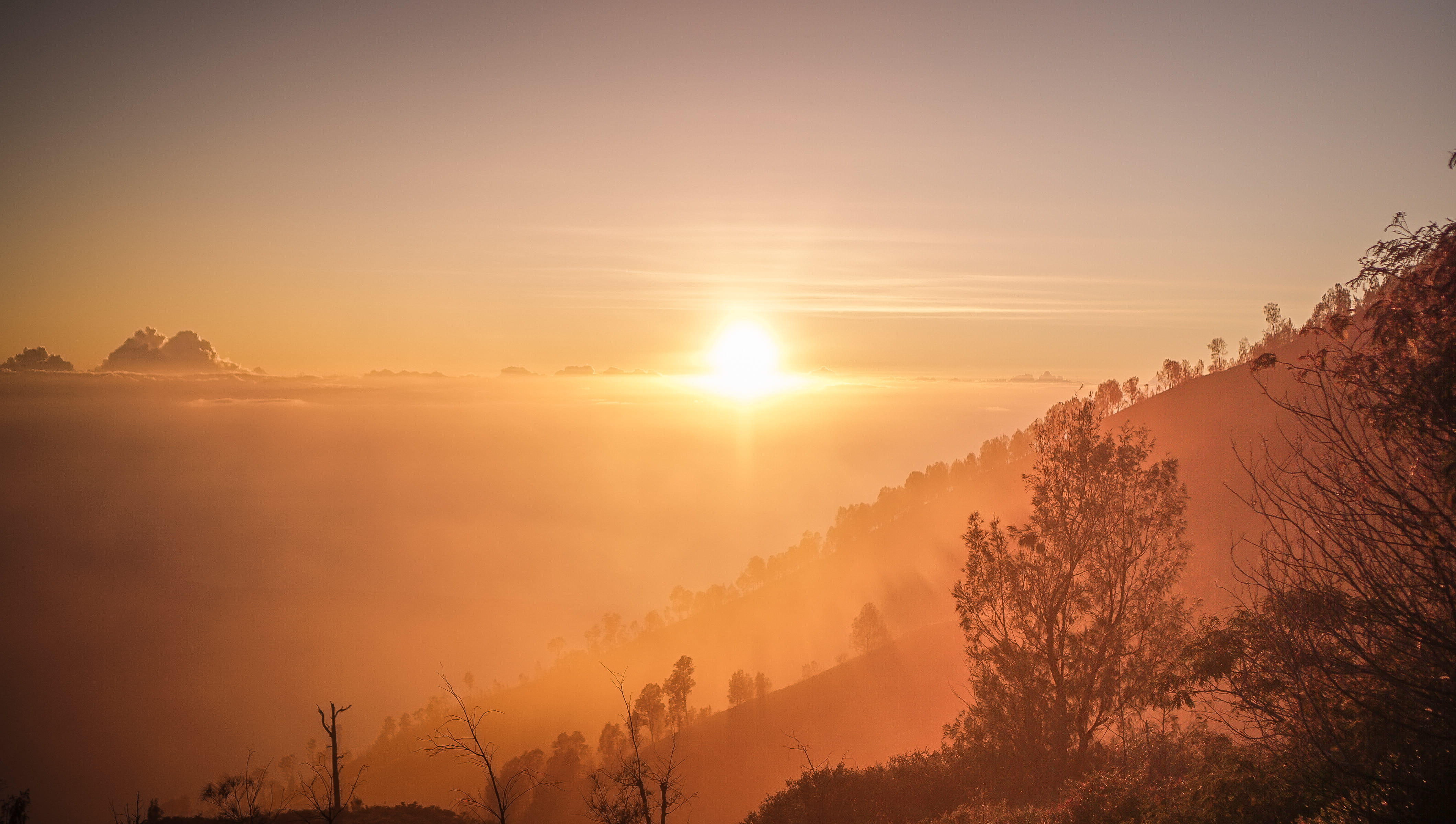 cloud, mountain, warm, hazy, sunset, non-urban scene, tree, scenics - nature, sunlight, trees, red sky, sunshine, dawn, nature, environment, orange, 4K, HD Wallpaper