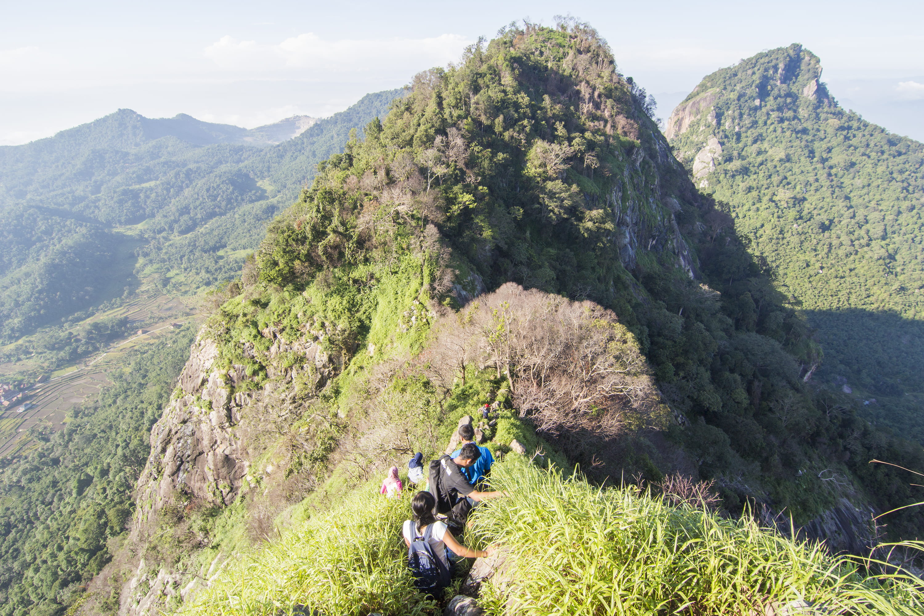 outdoors, adult, purwakarta regency, nature, day, plant, adventure, tranquil scene, non-urban scene, 2K, trees, people, tranquility, environment, climb, HD Wallpaper