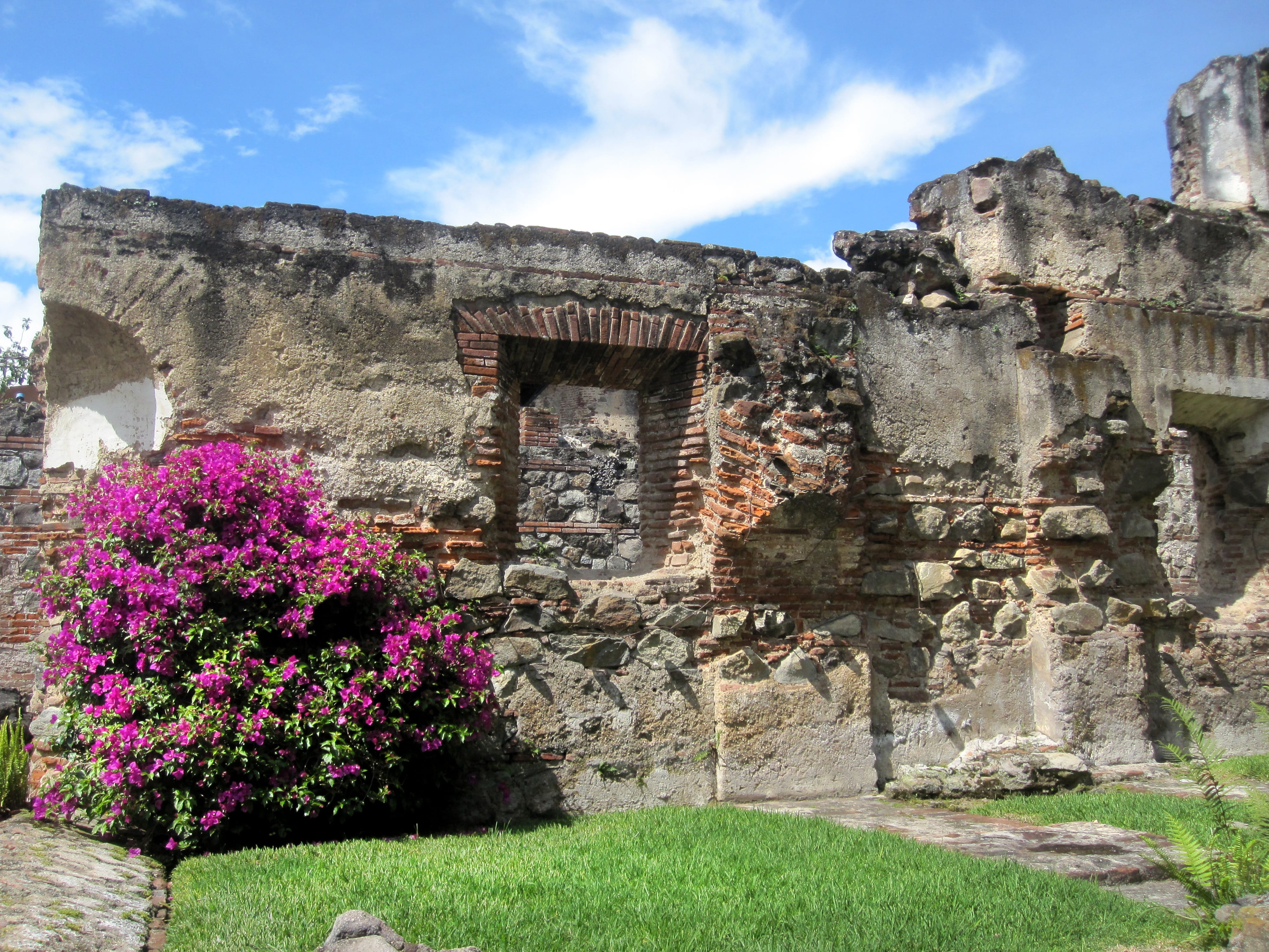 plant, sky, history, architecture, stone wall, Church, outdoors, nature, sunlight, building, Ruins, flower, antigua, Guatemala, ruined, flowering plant, HD Wallpaper
