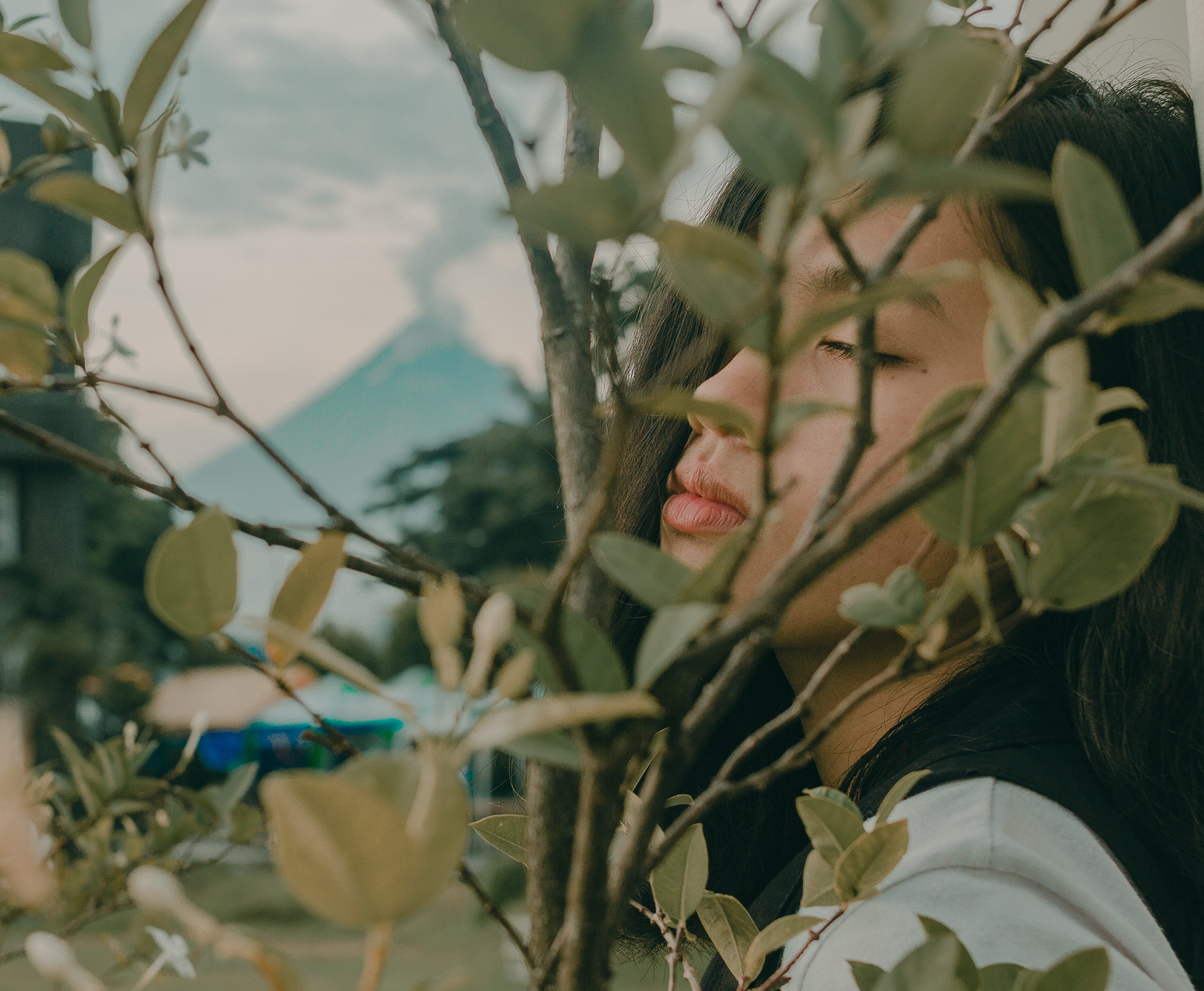 plant part, Mayon Volcano, bright, 4K, day, animal wildlife, nature, growth, animals in the wild, one animal, woman, beauty in nature, animal, selective, HD Wallpaper